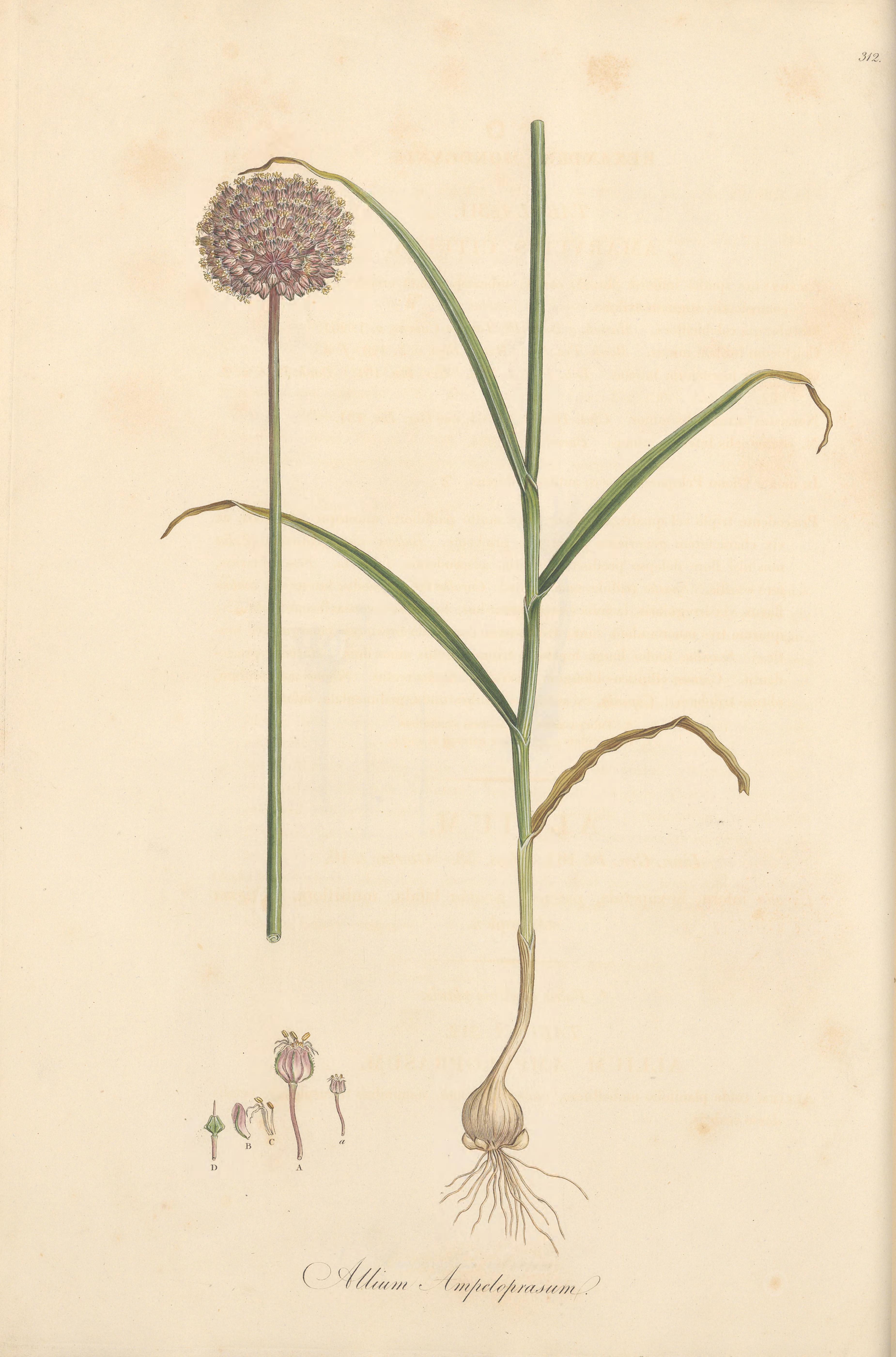 no full size  illustration available (3a)