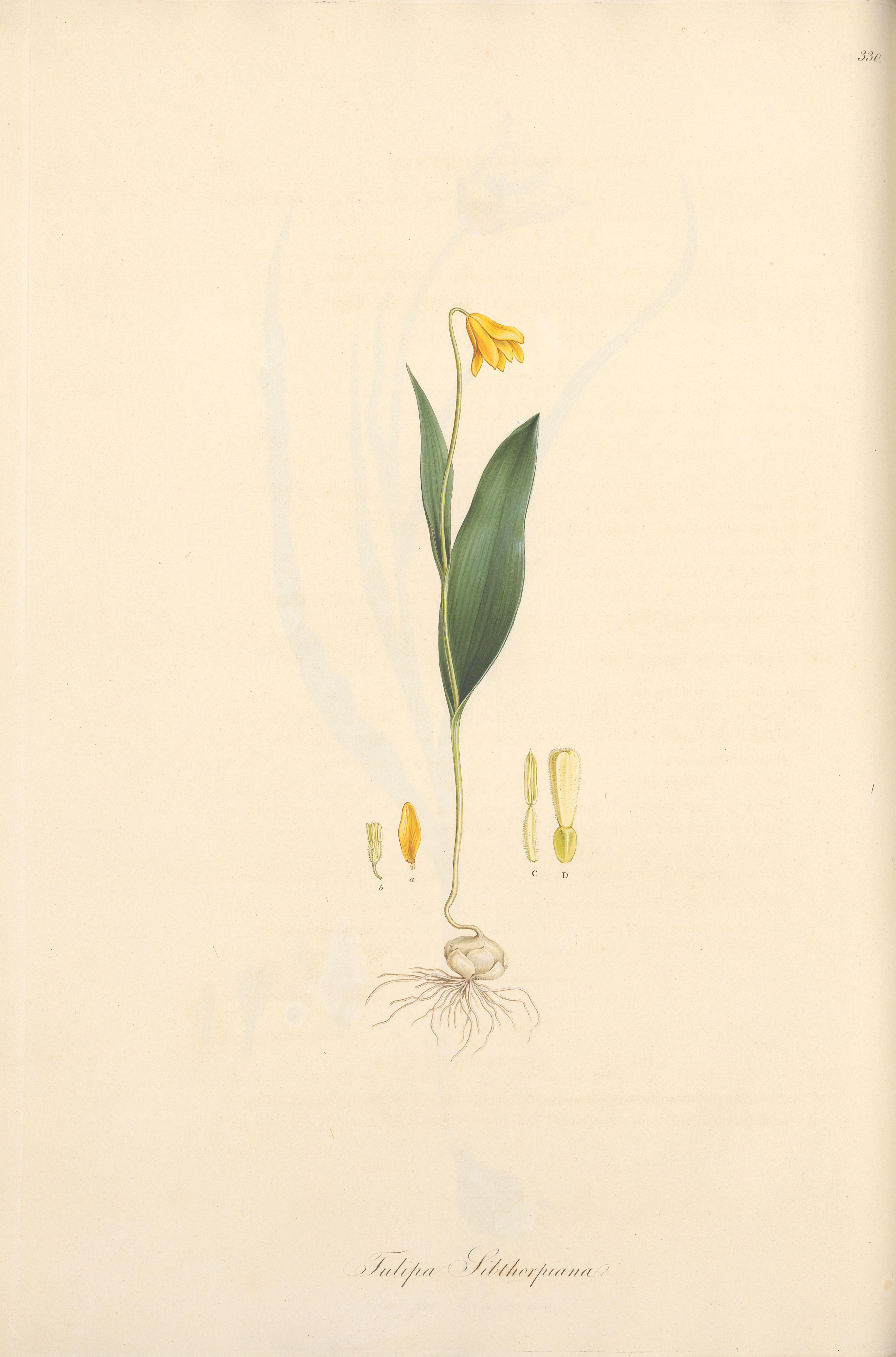 no full size  illustration available (3a)