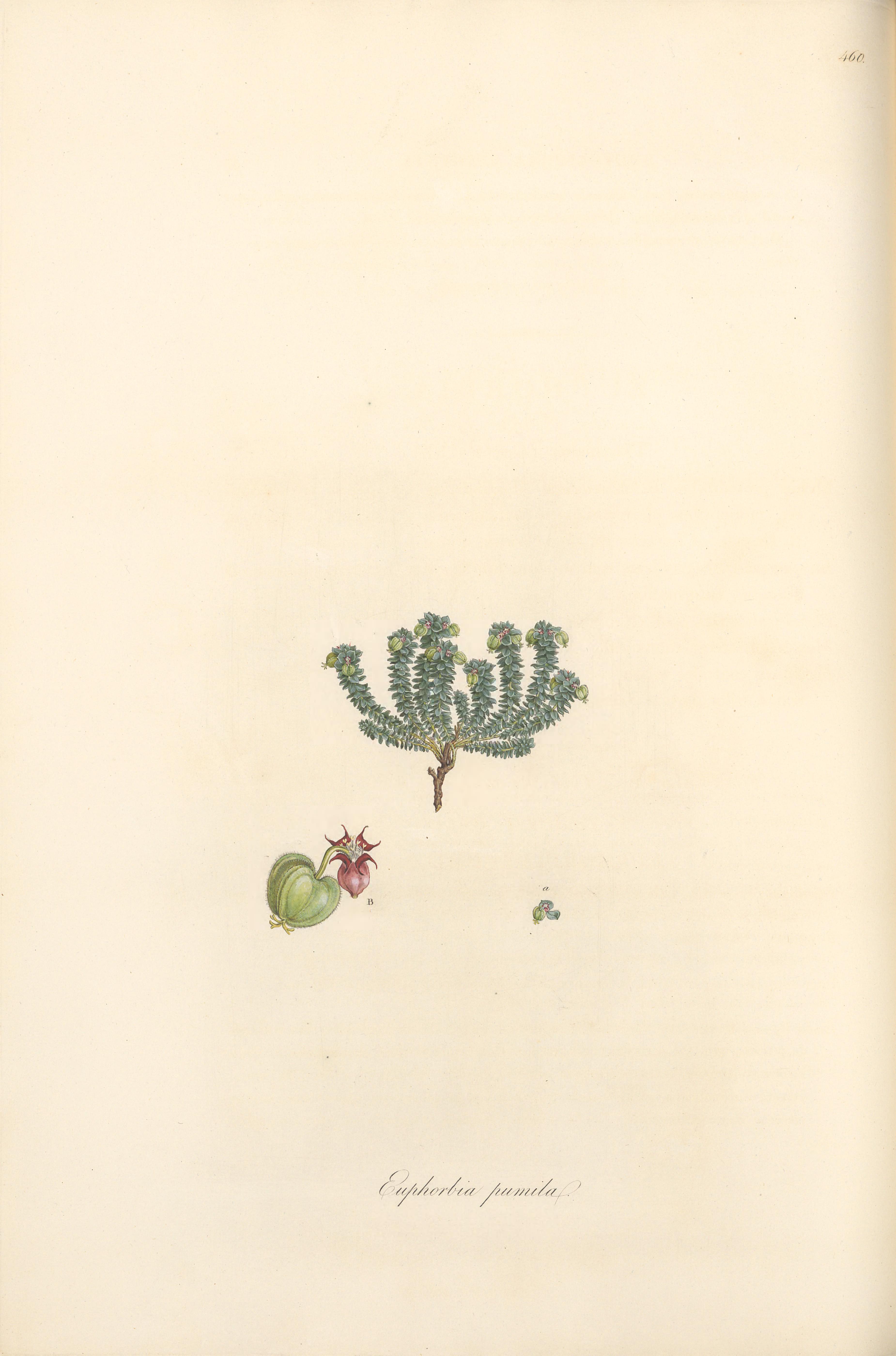 no full size  illustration available (3a)