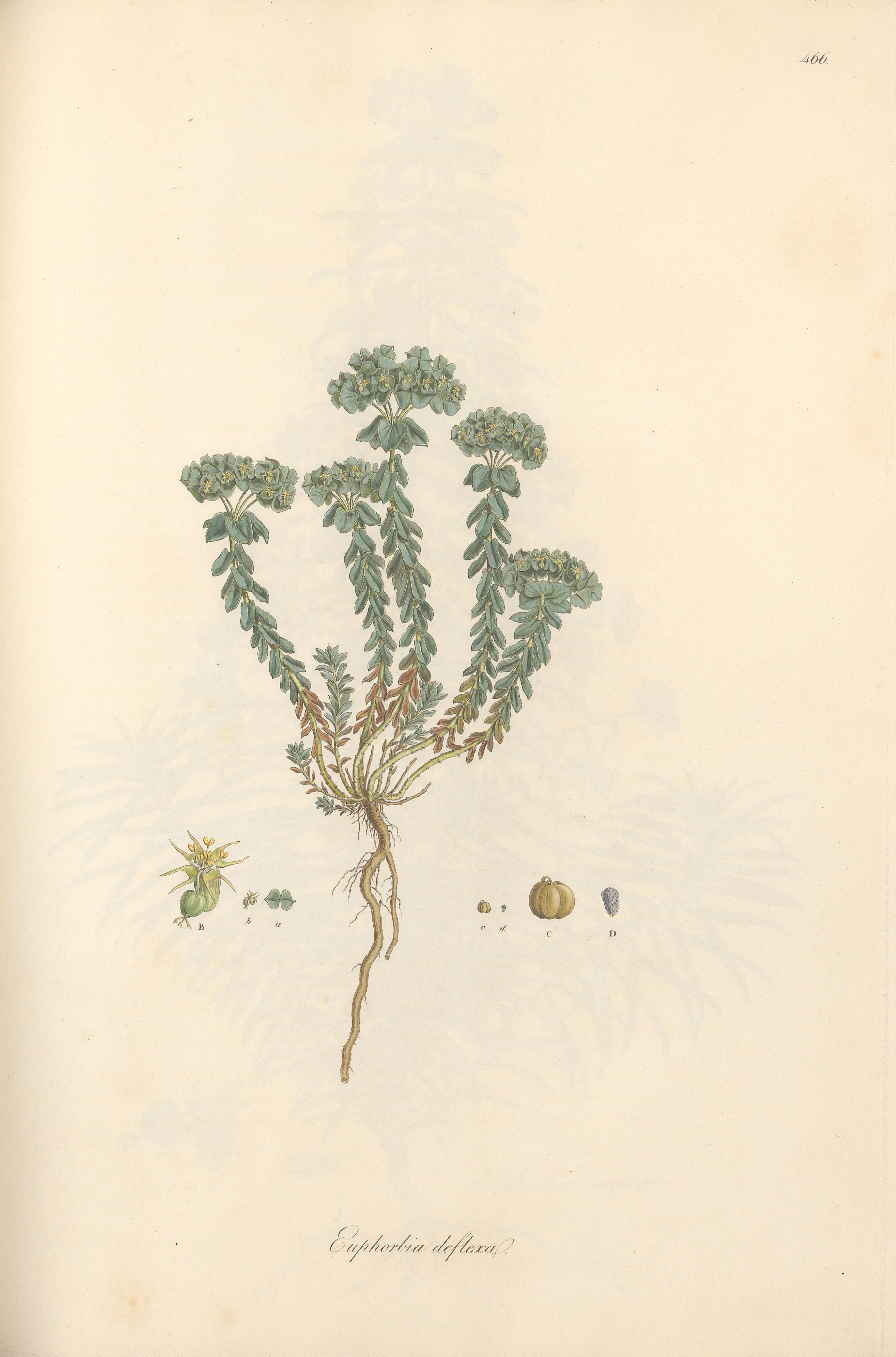 no full size  illustration available (3a)