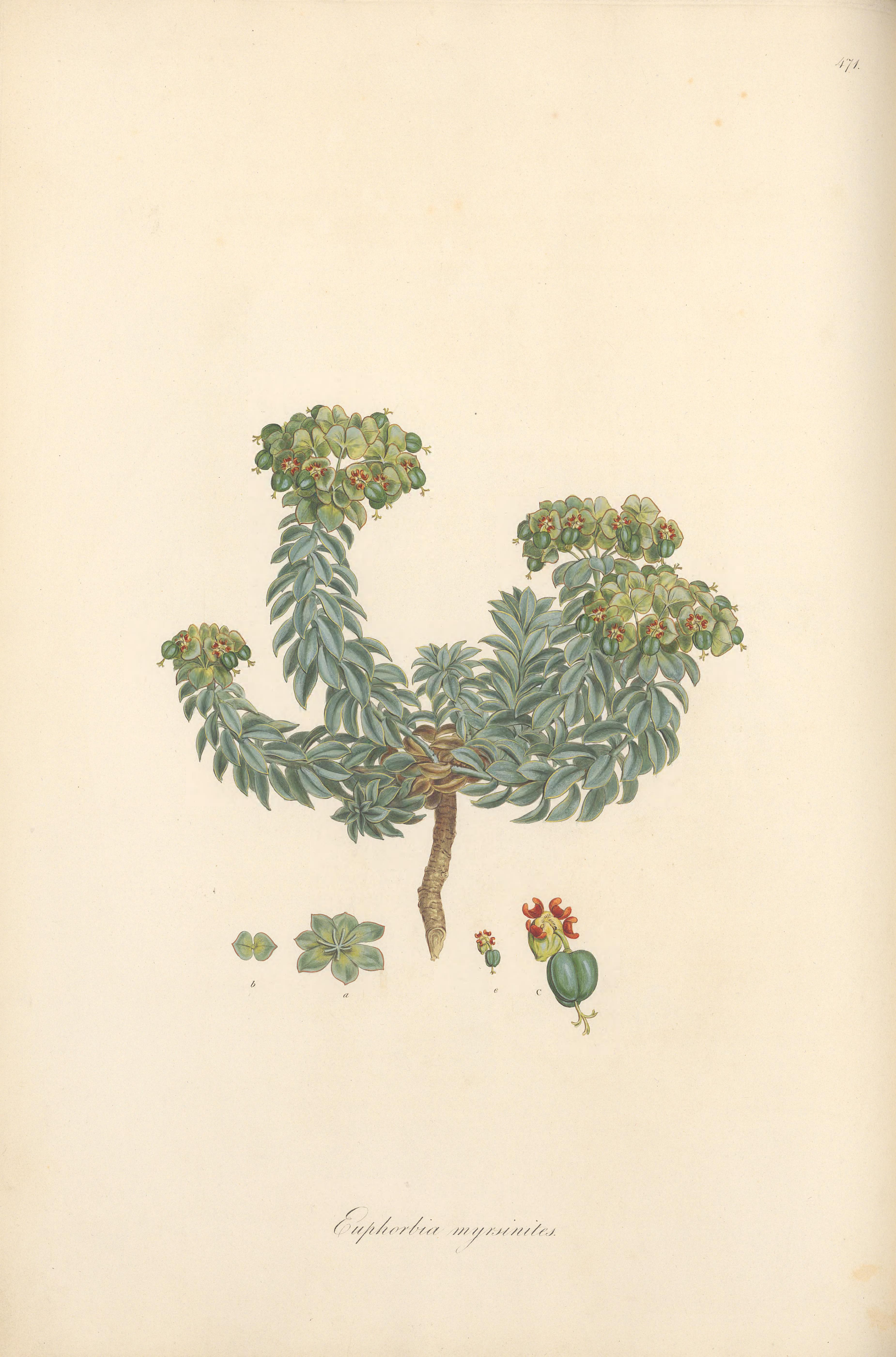 no full size  illustration available (3a)