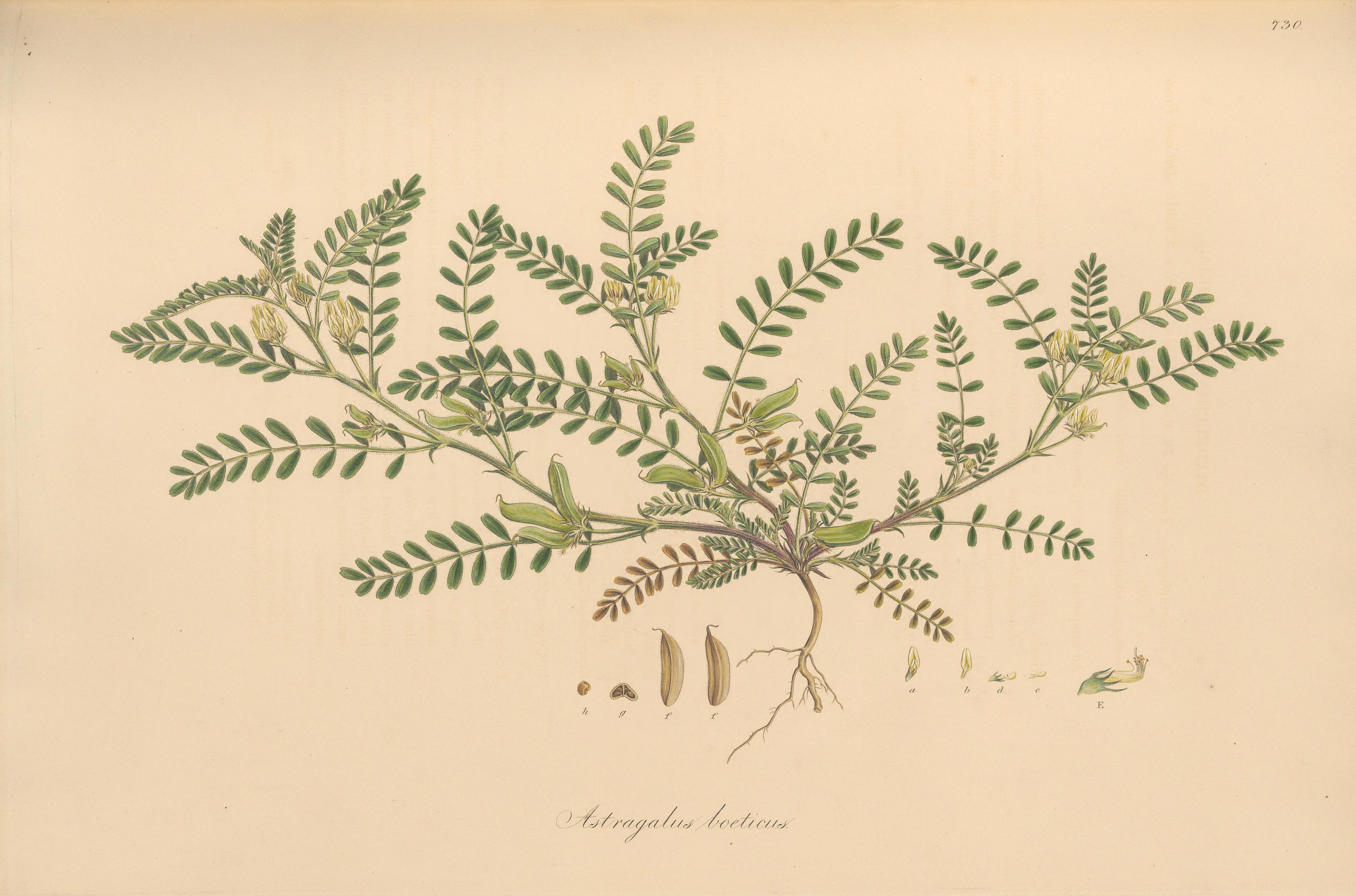 no full size  illustration available (3a)