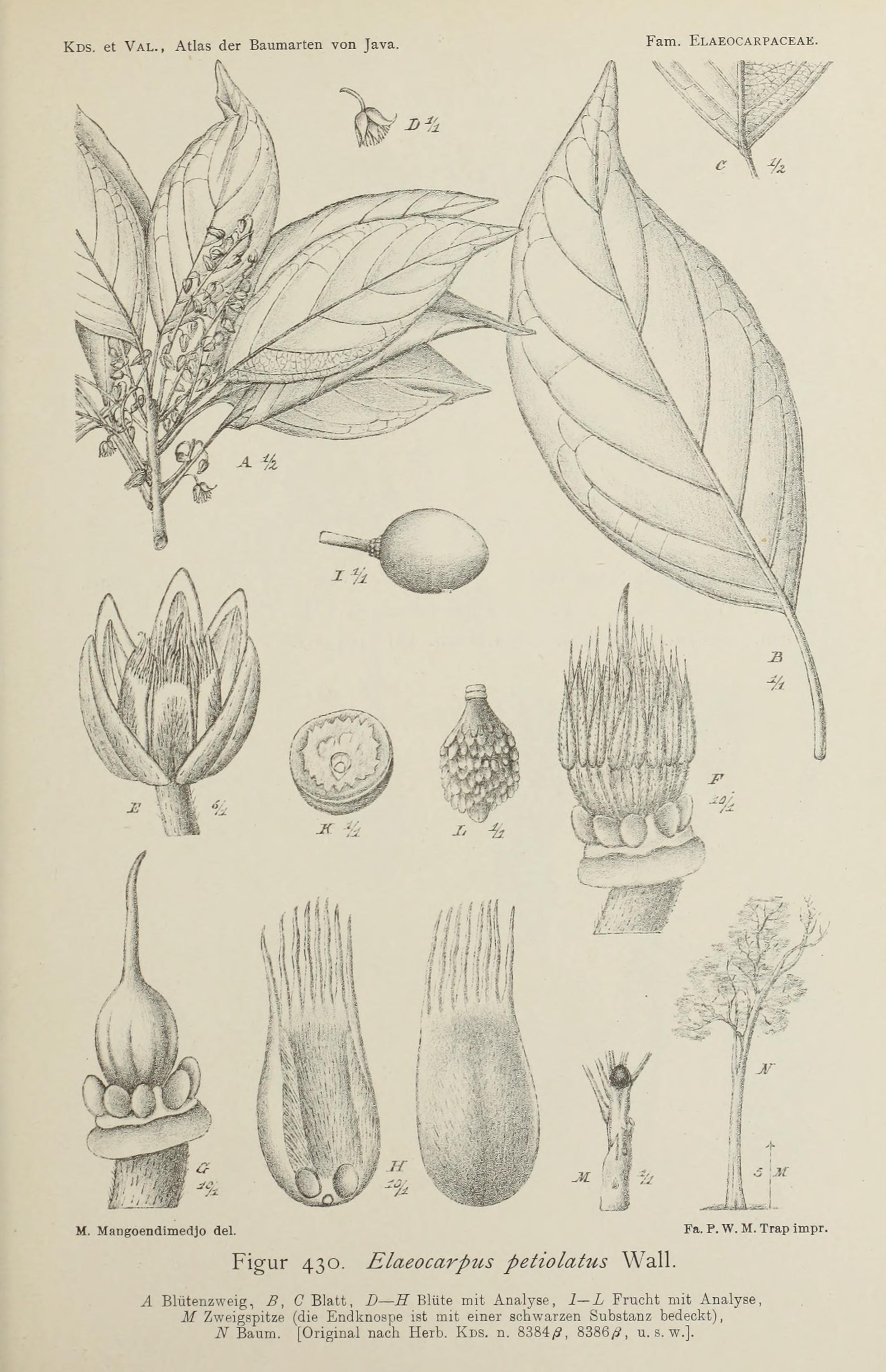 no full size  illustration available (3a)