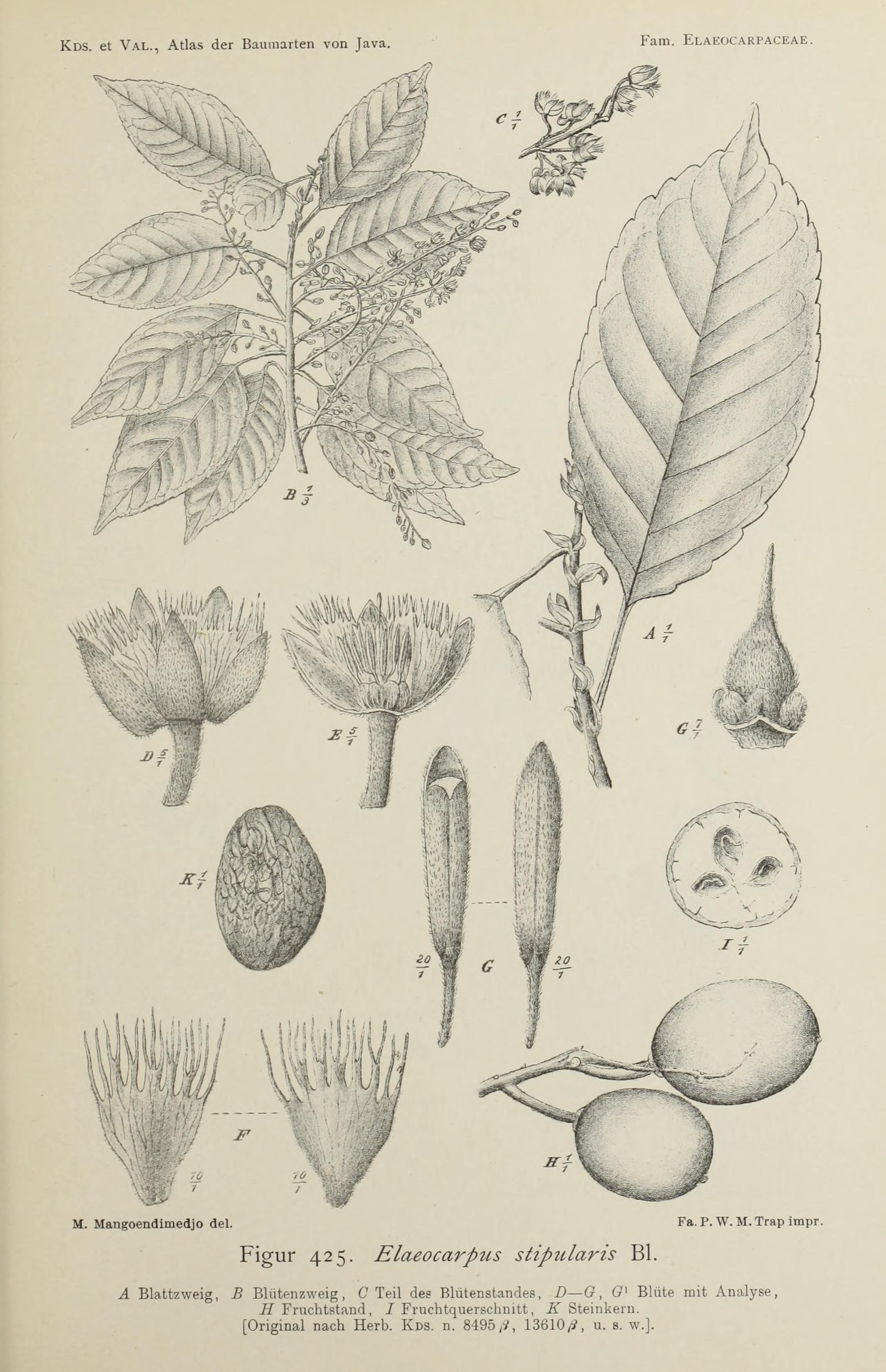 no full size  illustration available (3a)