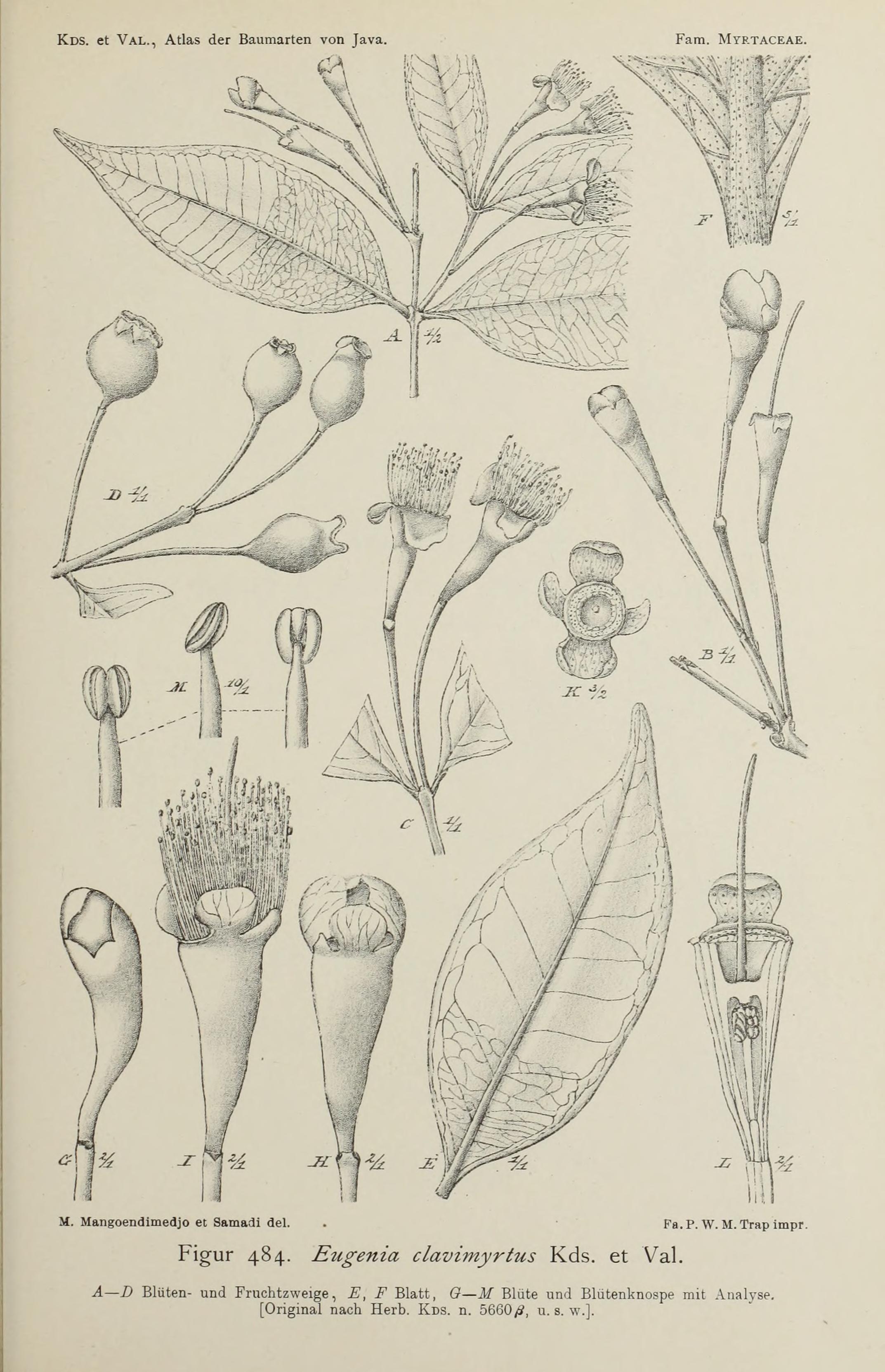 no full size  illustration available (3a)