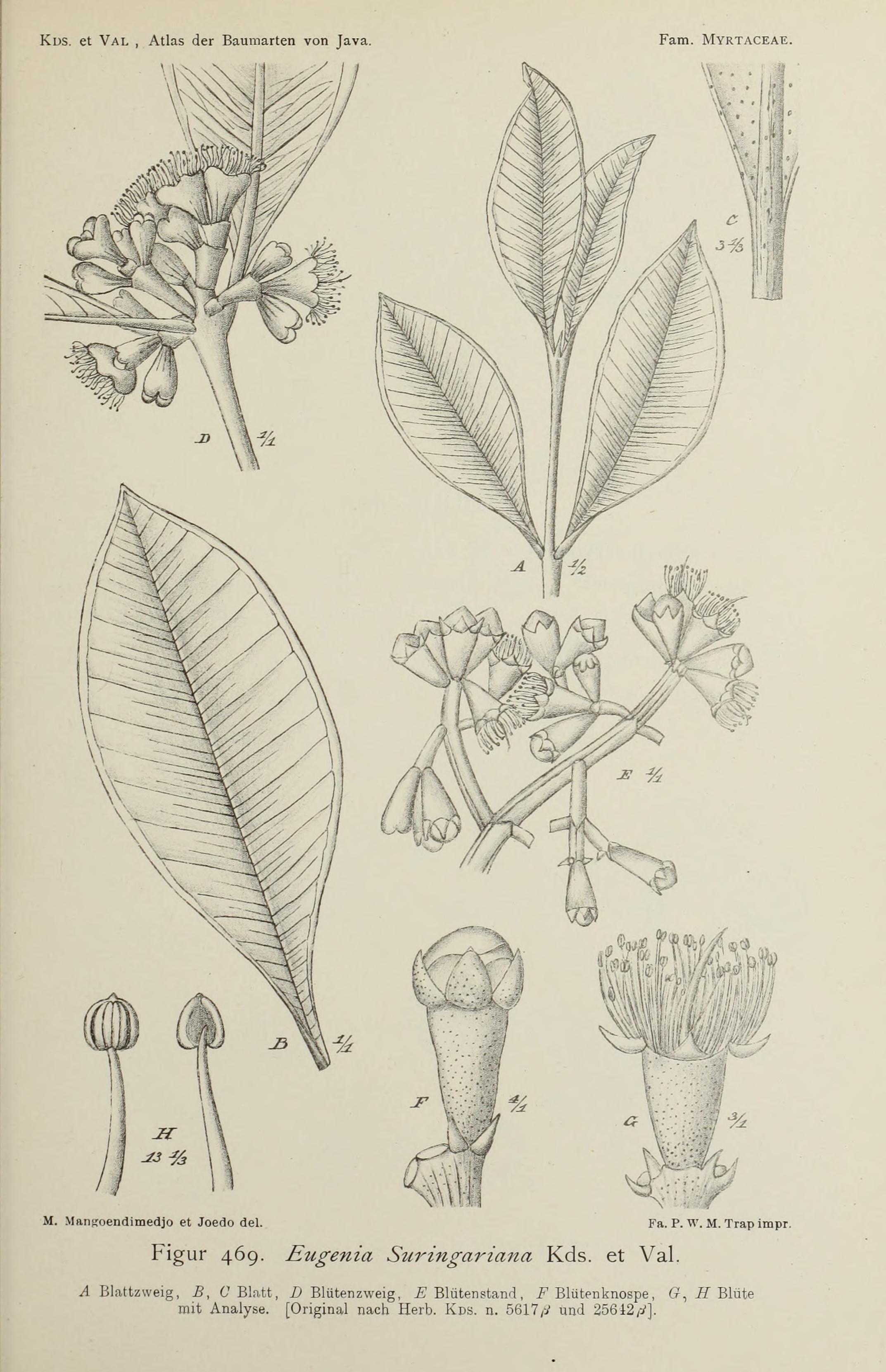 no full size  illustration available (3a)