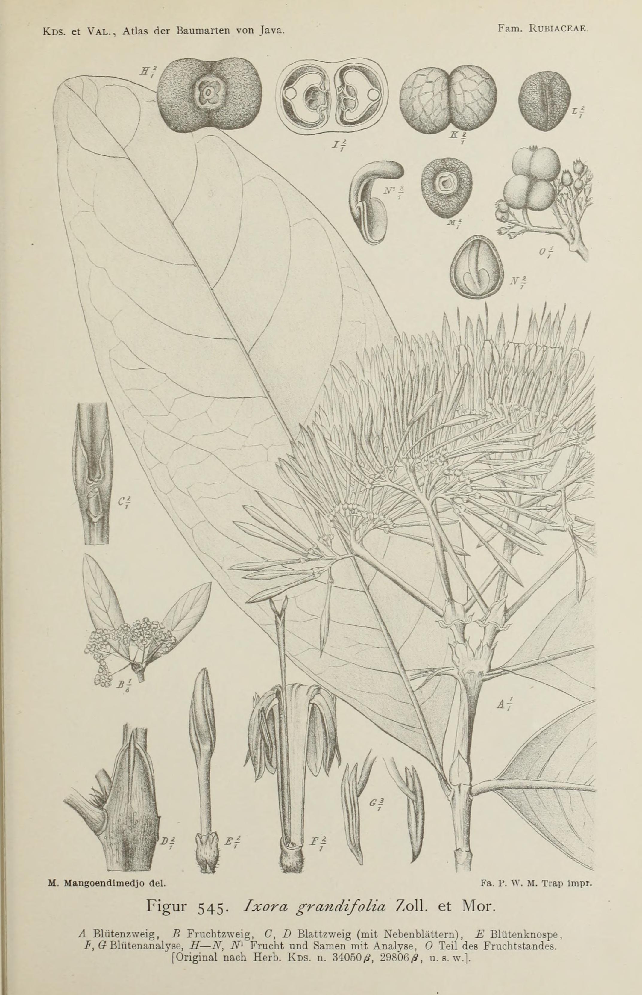 no full size  illustration available (3a)