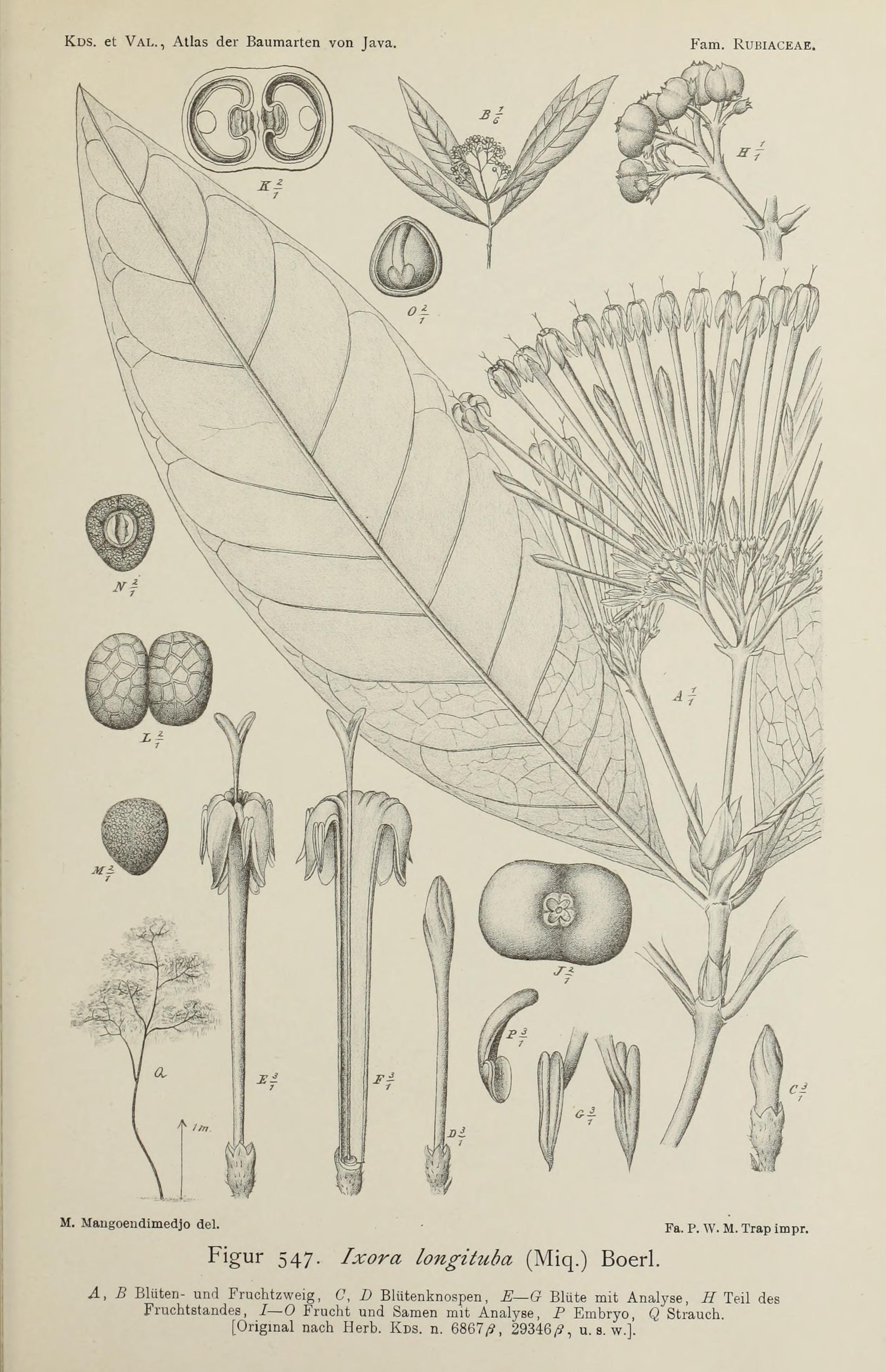 no full size  illustration available (3a)