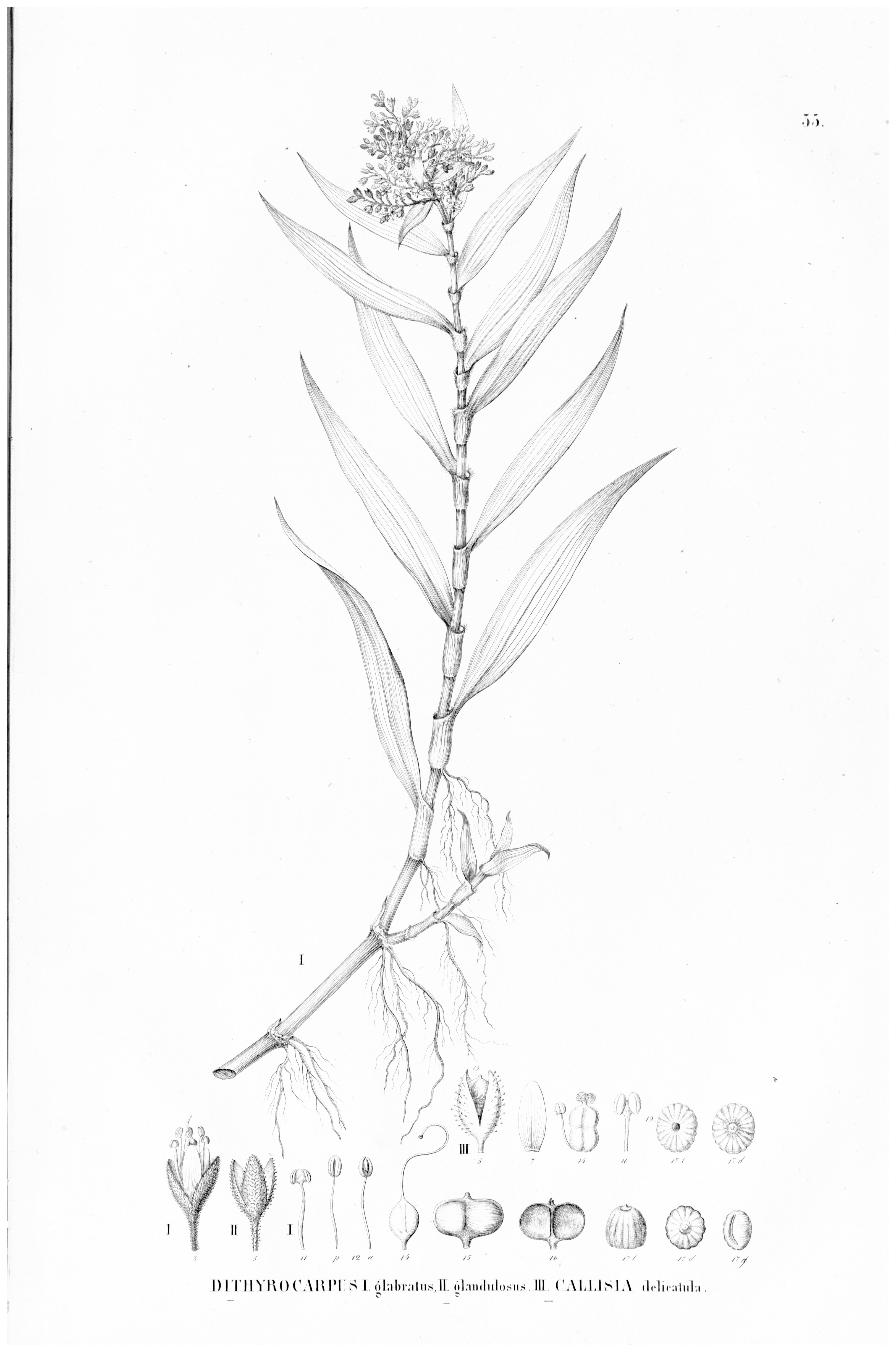 no full size  illustration available (3a)