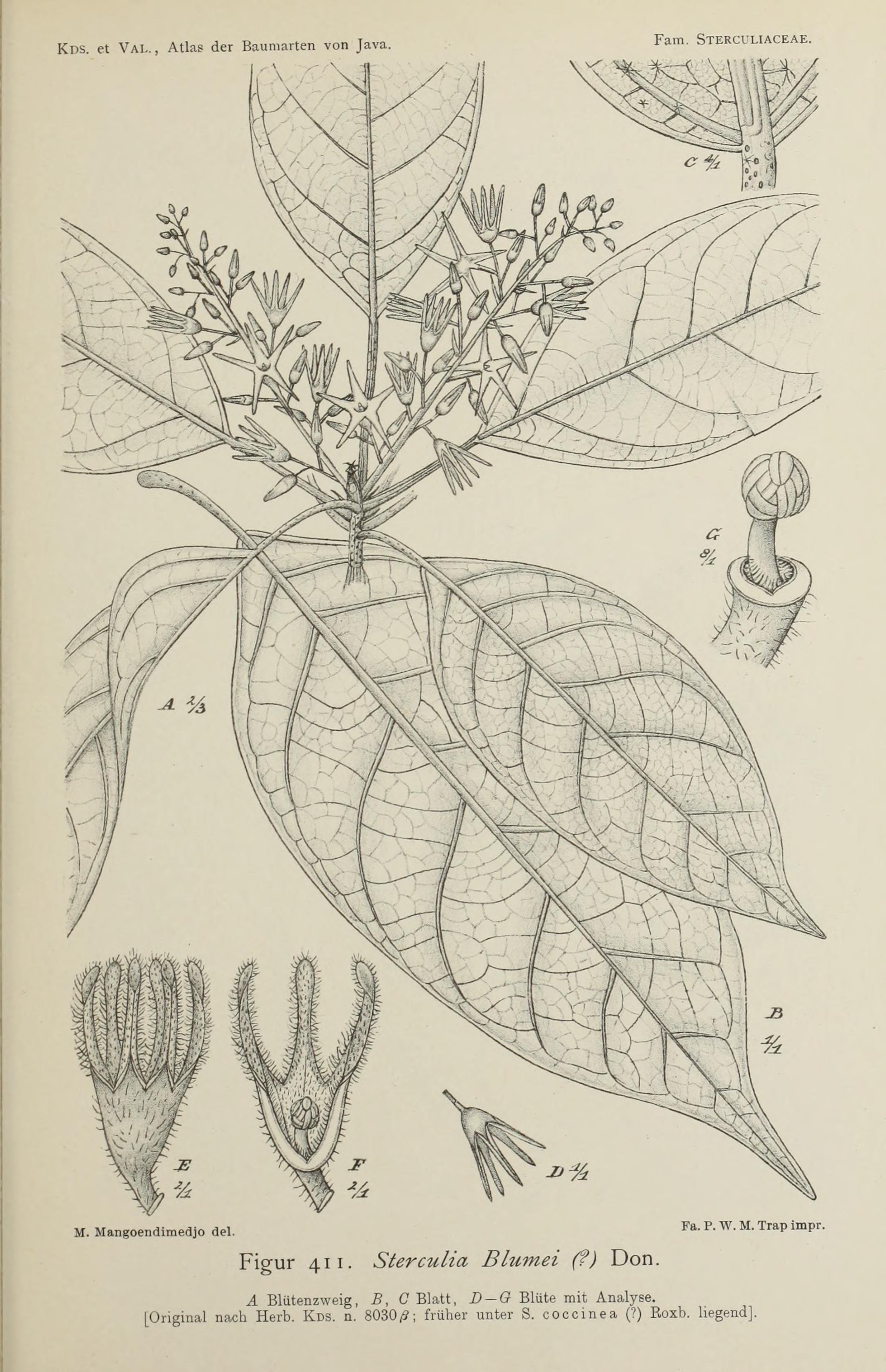 no full size  illustration available (3a)