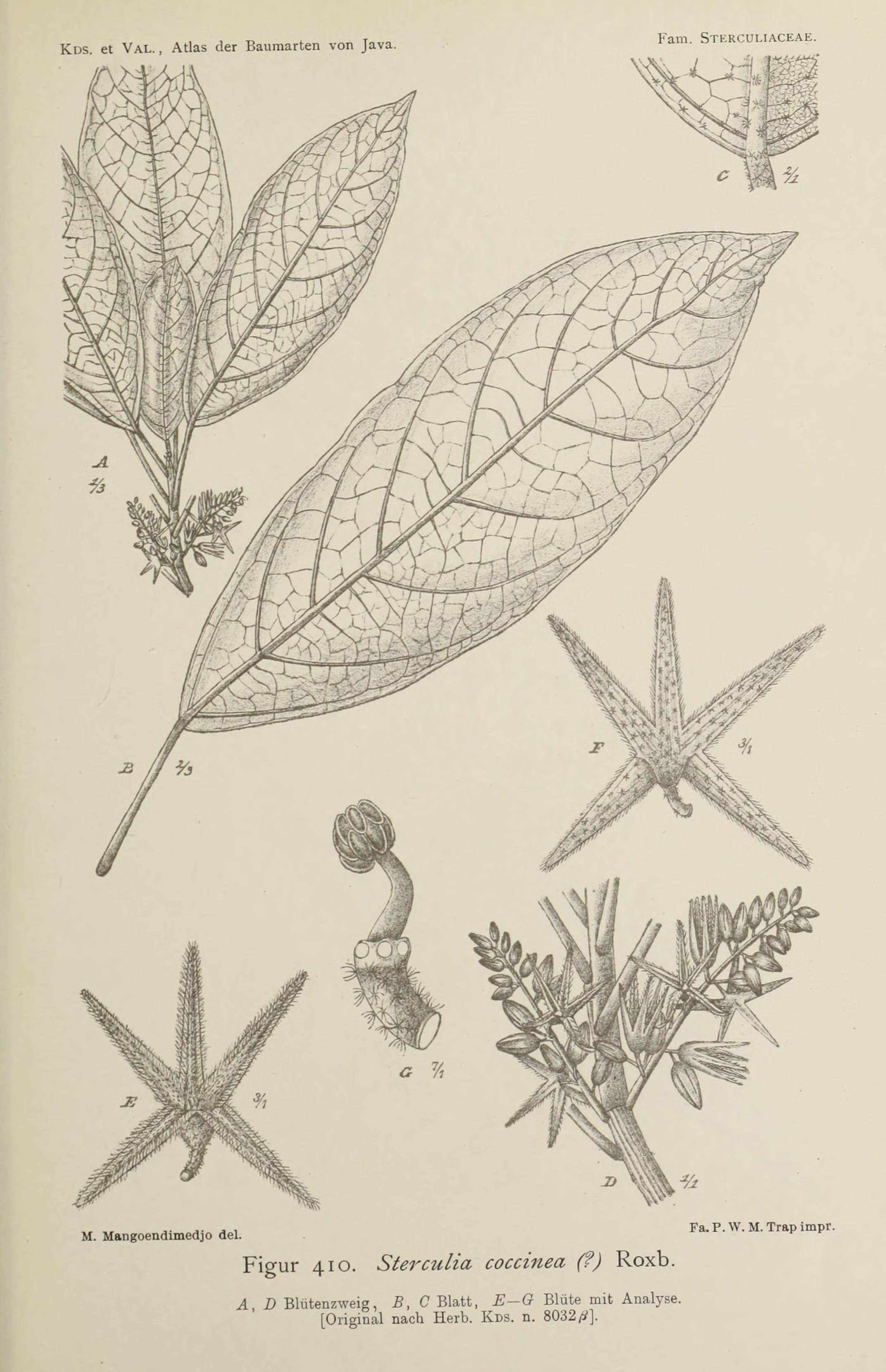 no full size  illustration available (3a)