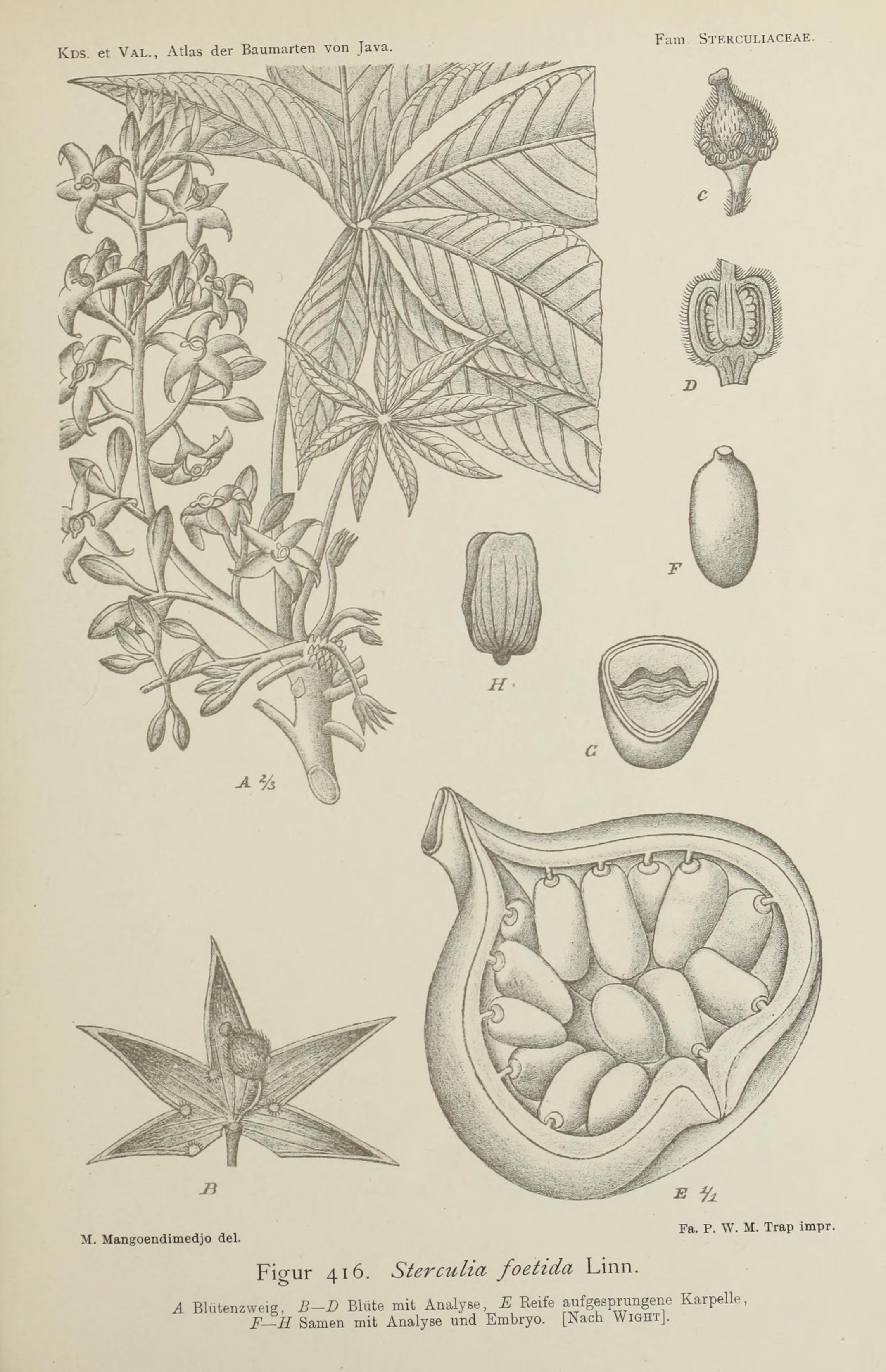 no full size  illustration available (3a)