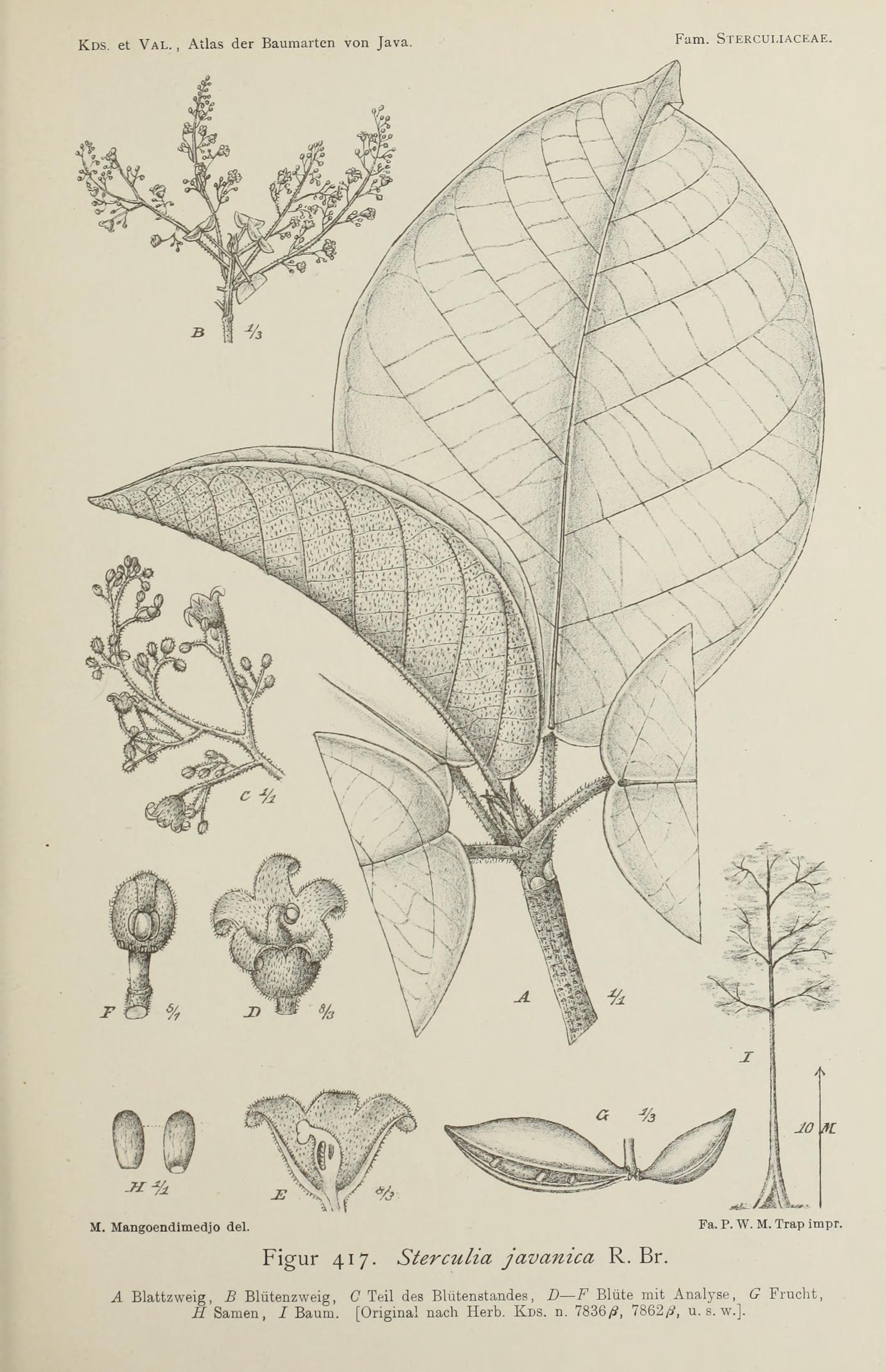 no full size  illustration available (3a)