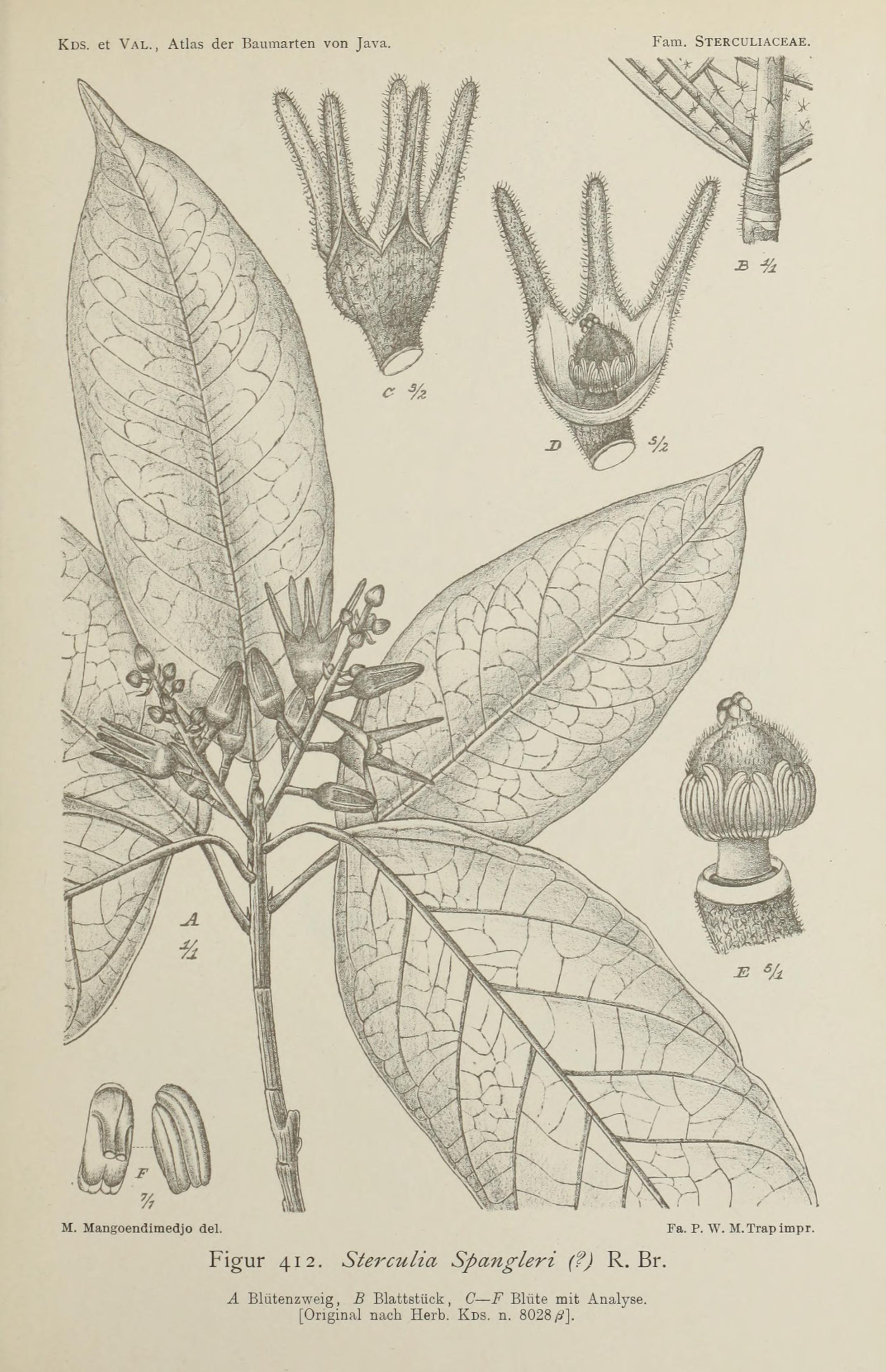 no full size  illustration available (3a)