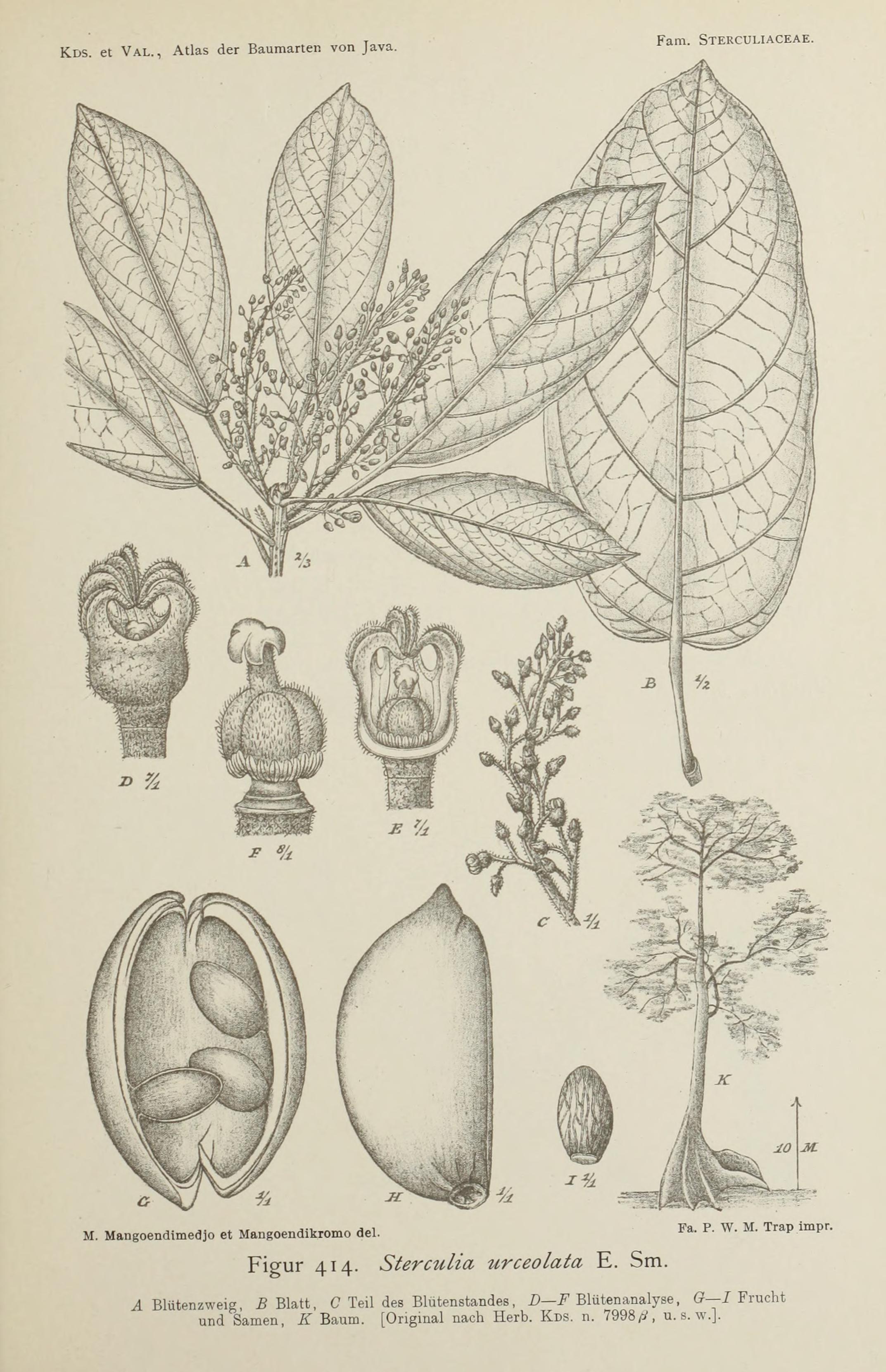 no full size  illustration available (3a)