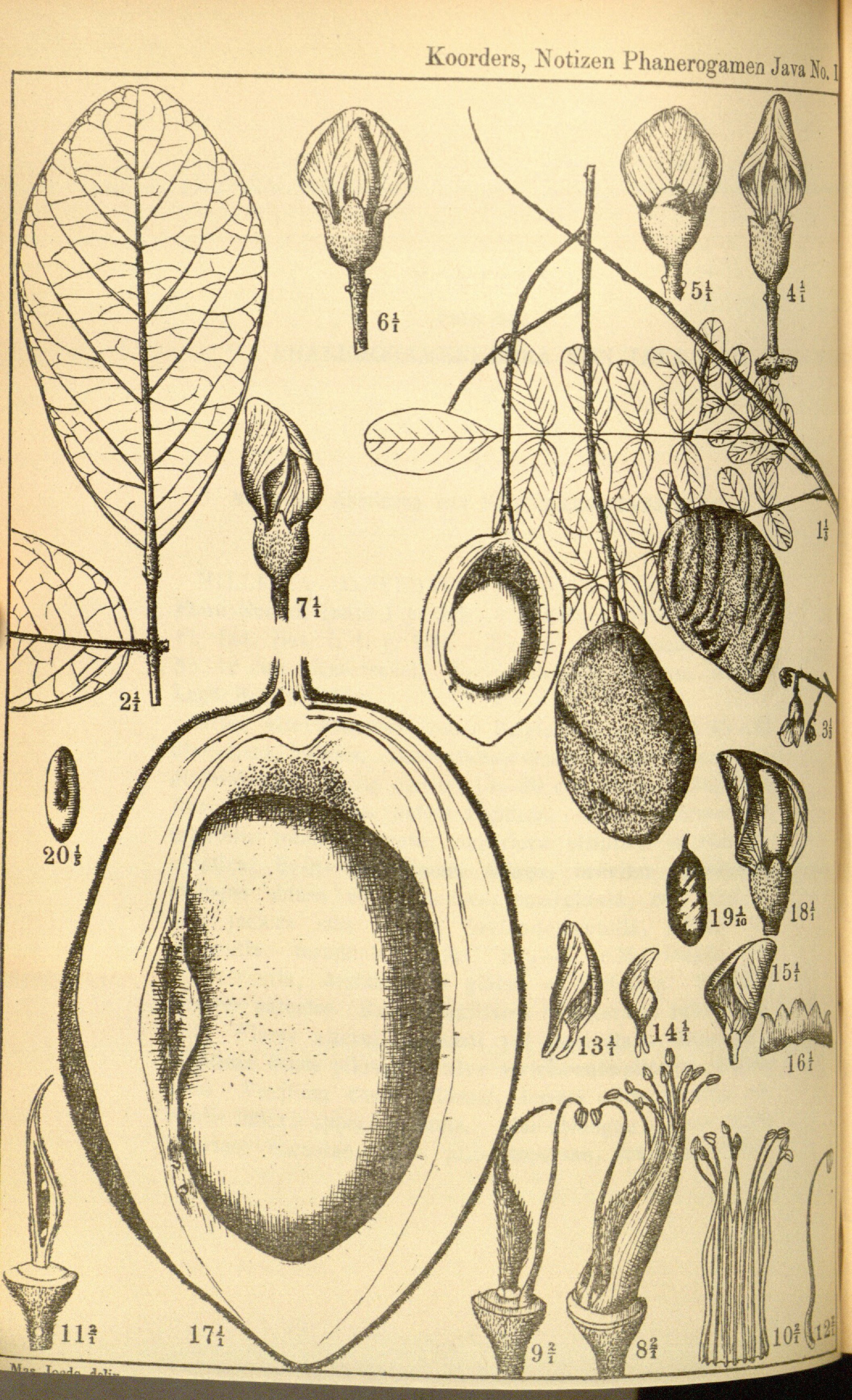 no full size  illustration available (3a)