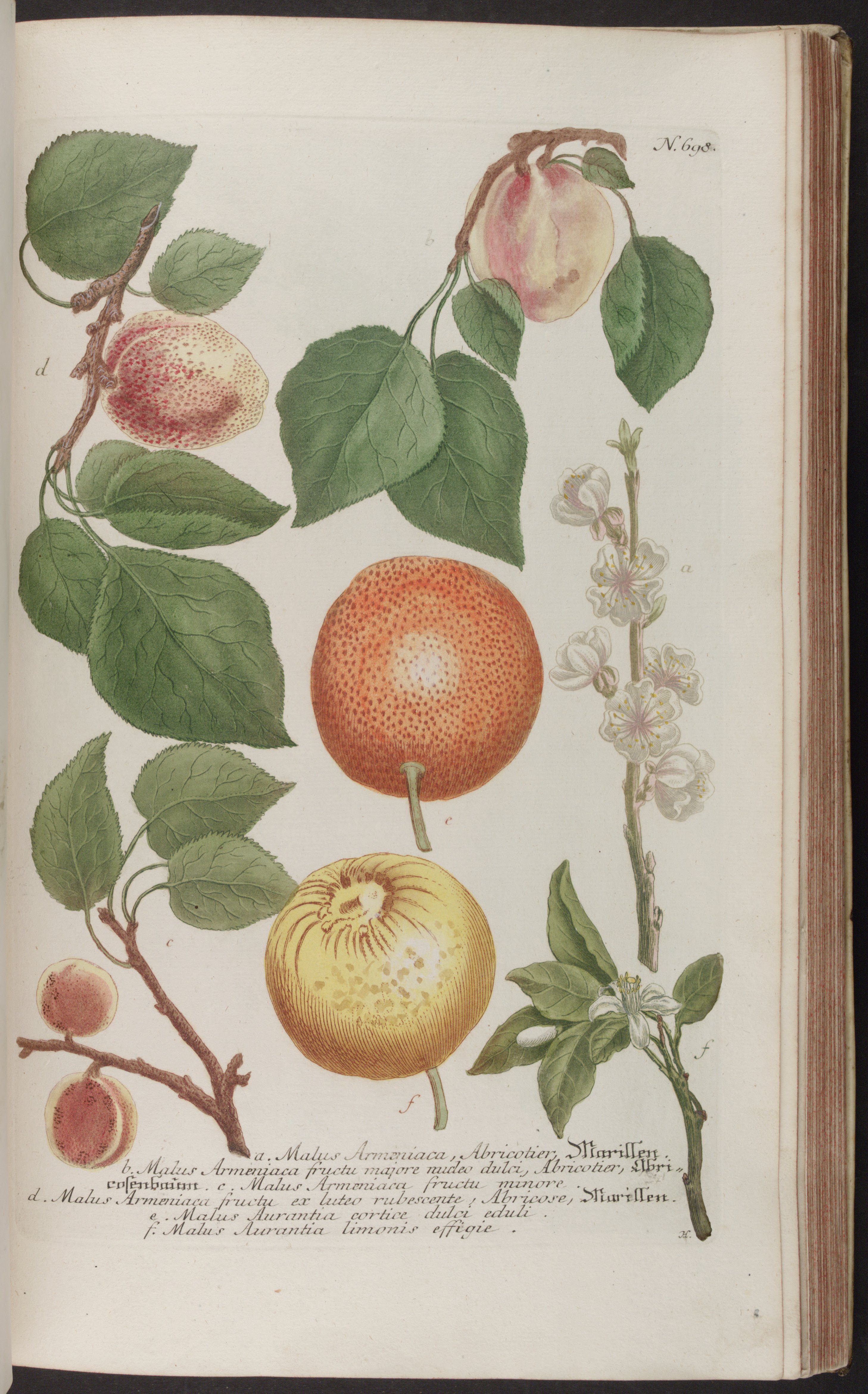 no full size  illustration available (3a)