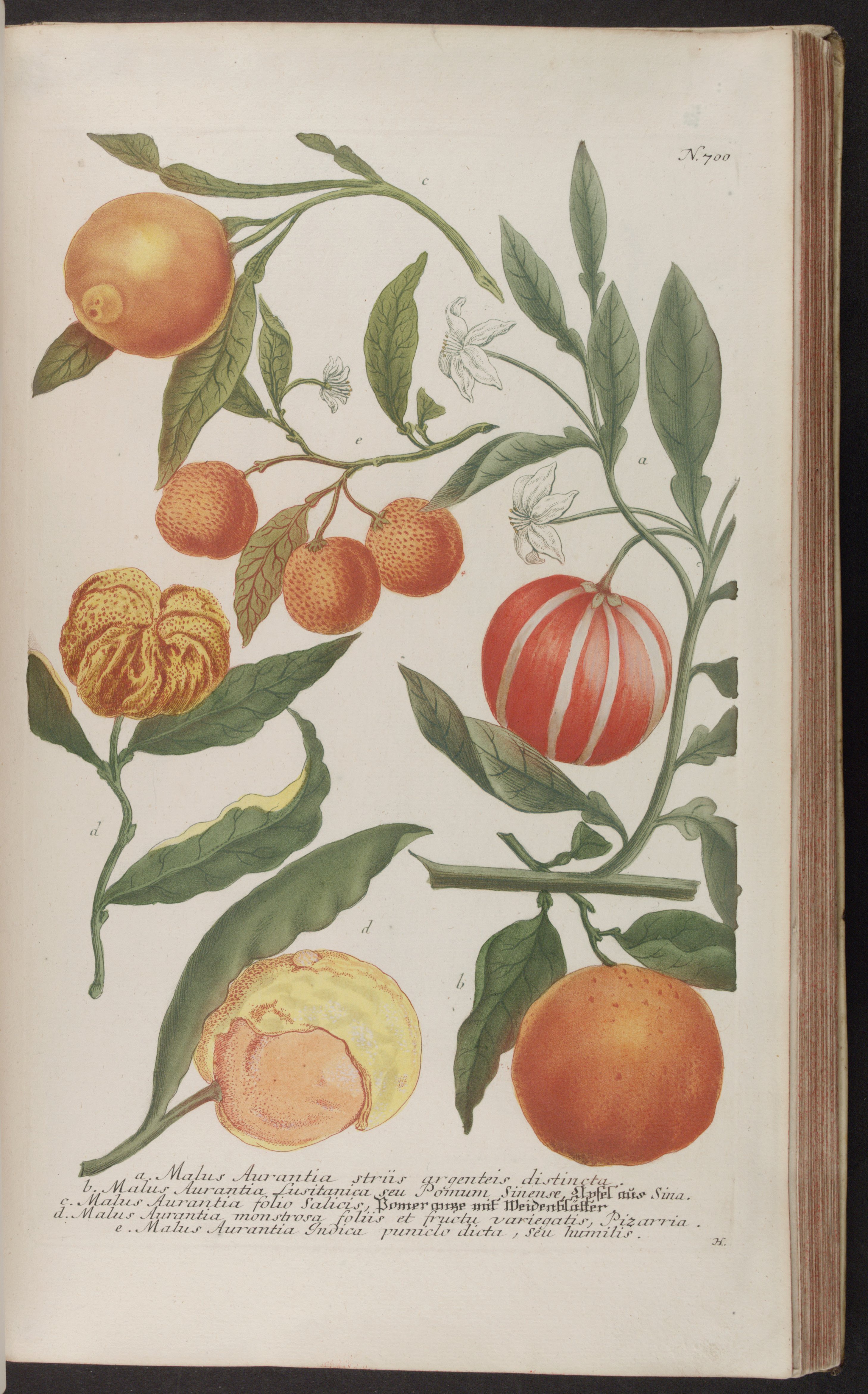 no full size  illustration available (3a)