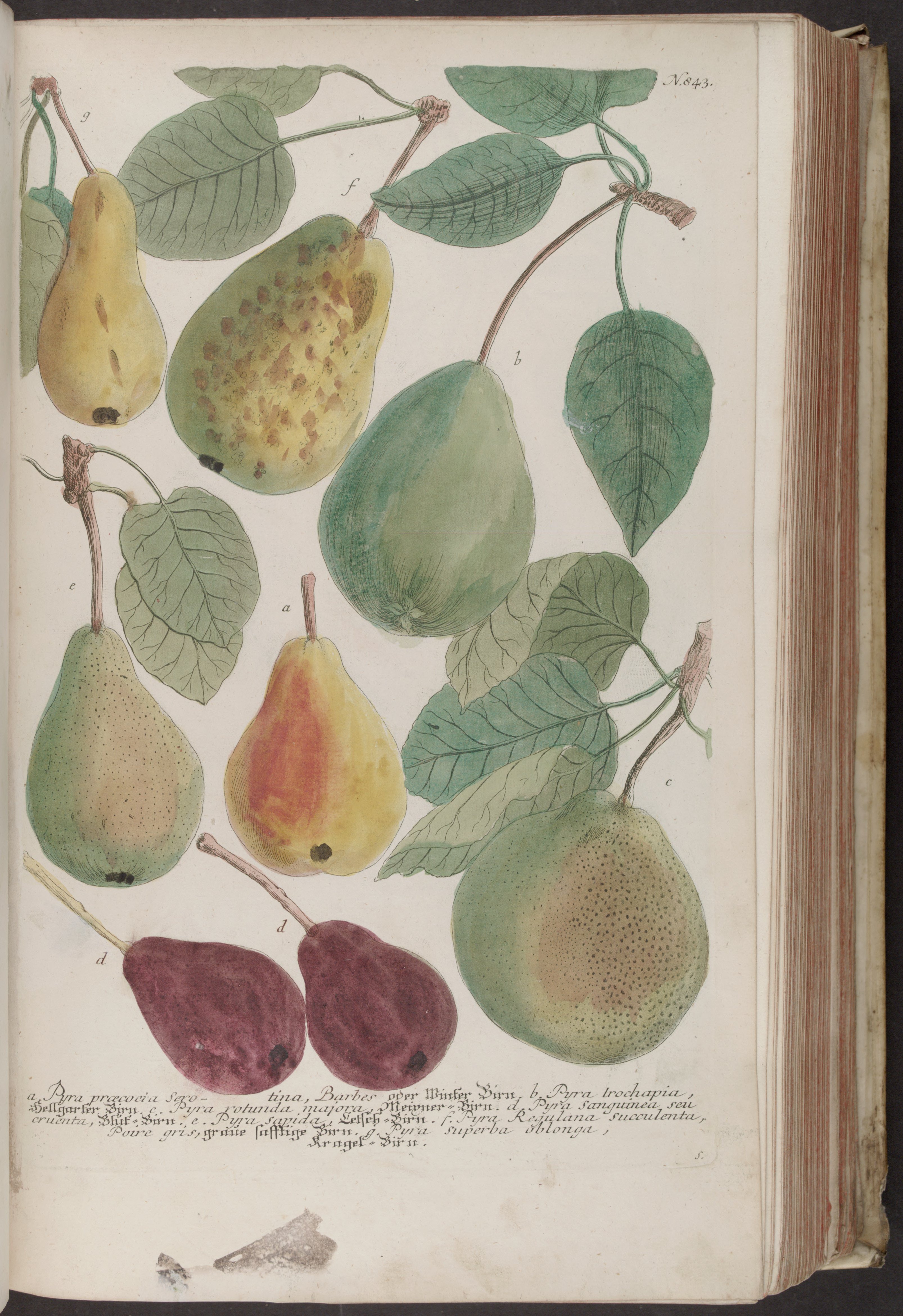 no full size  illustration available (3a)