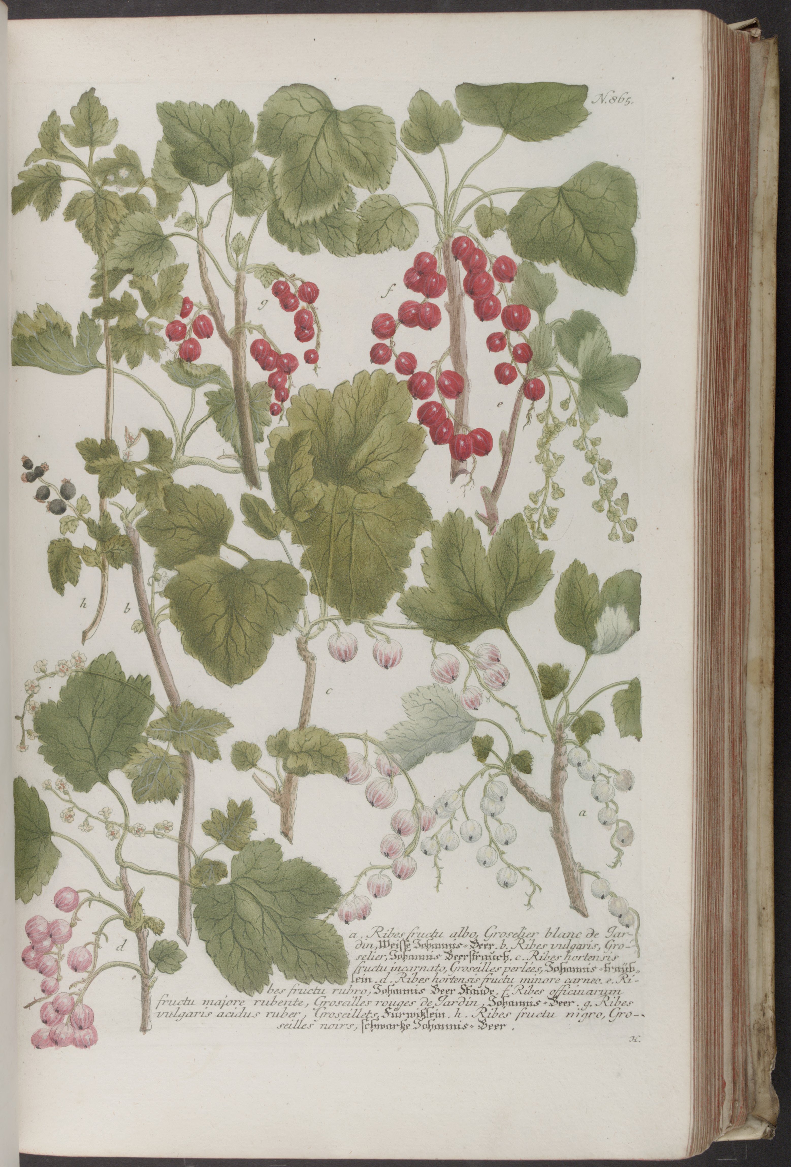 no full size  illustration available (3a)