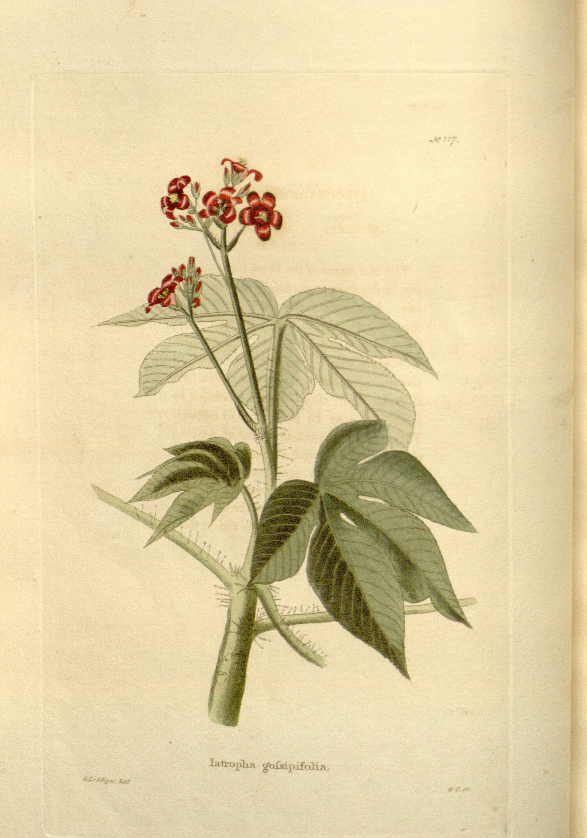 no full size  illustration available (3a)