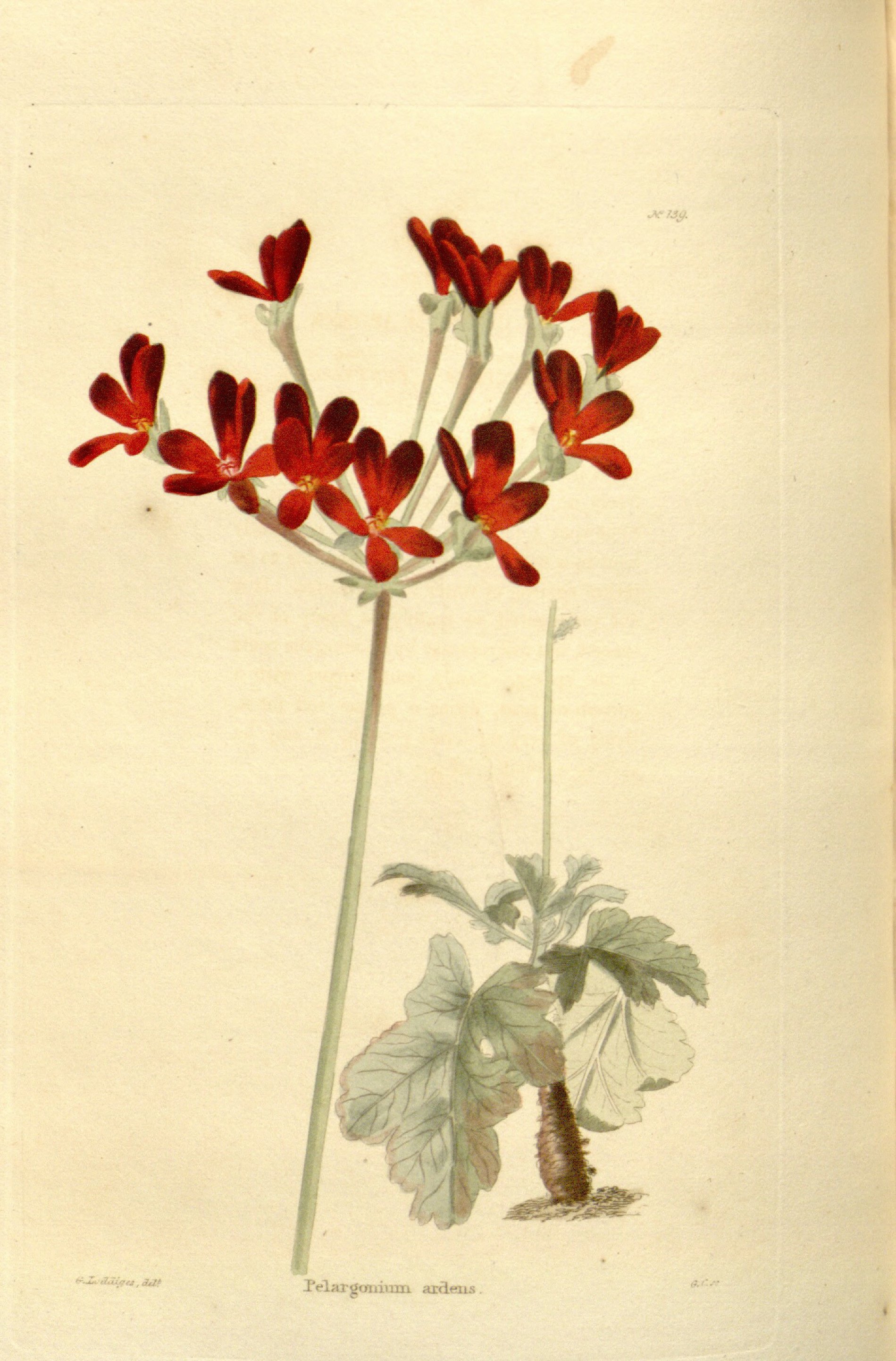 no full size  illustration available (3a)