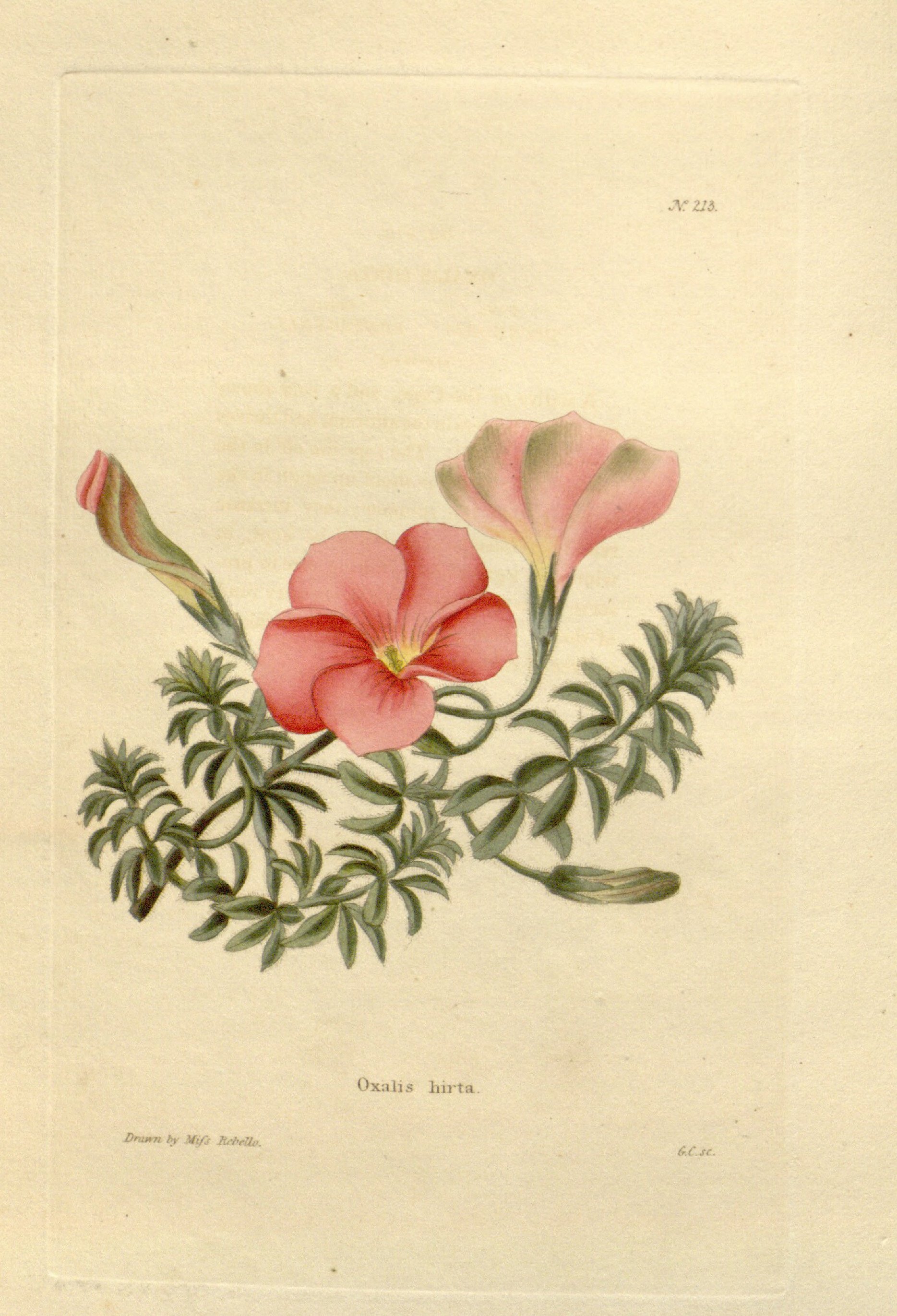 no full size  illustration available (3a)