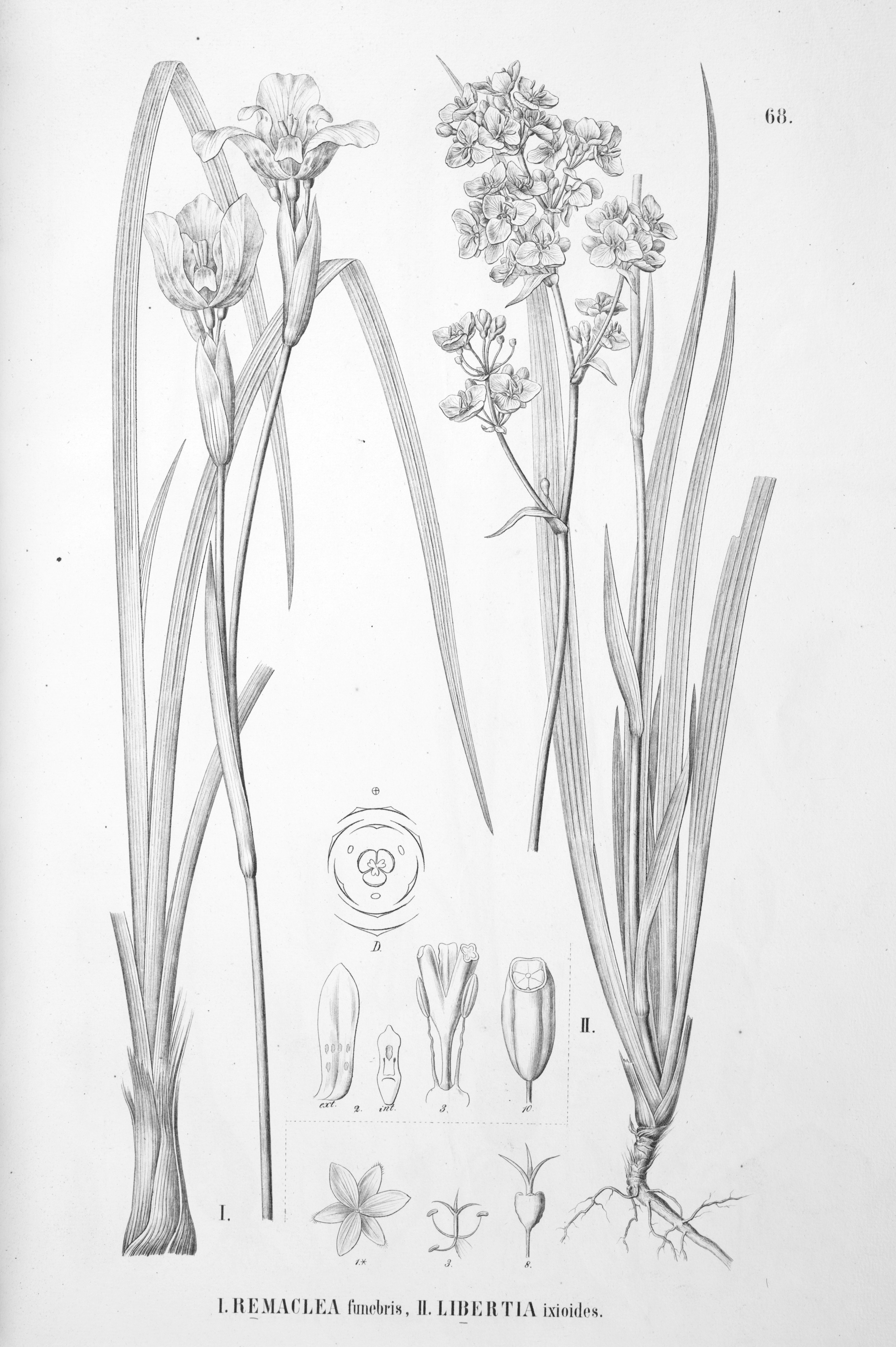 no full size  illustration available (3a)