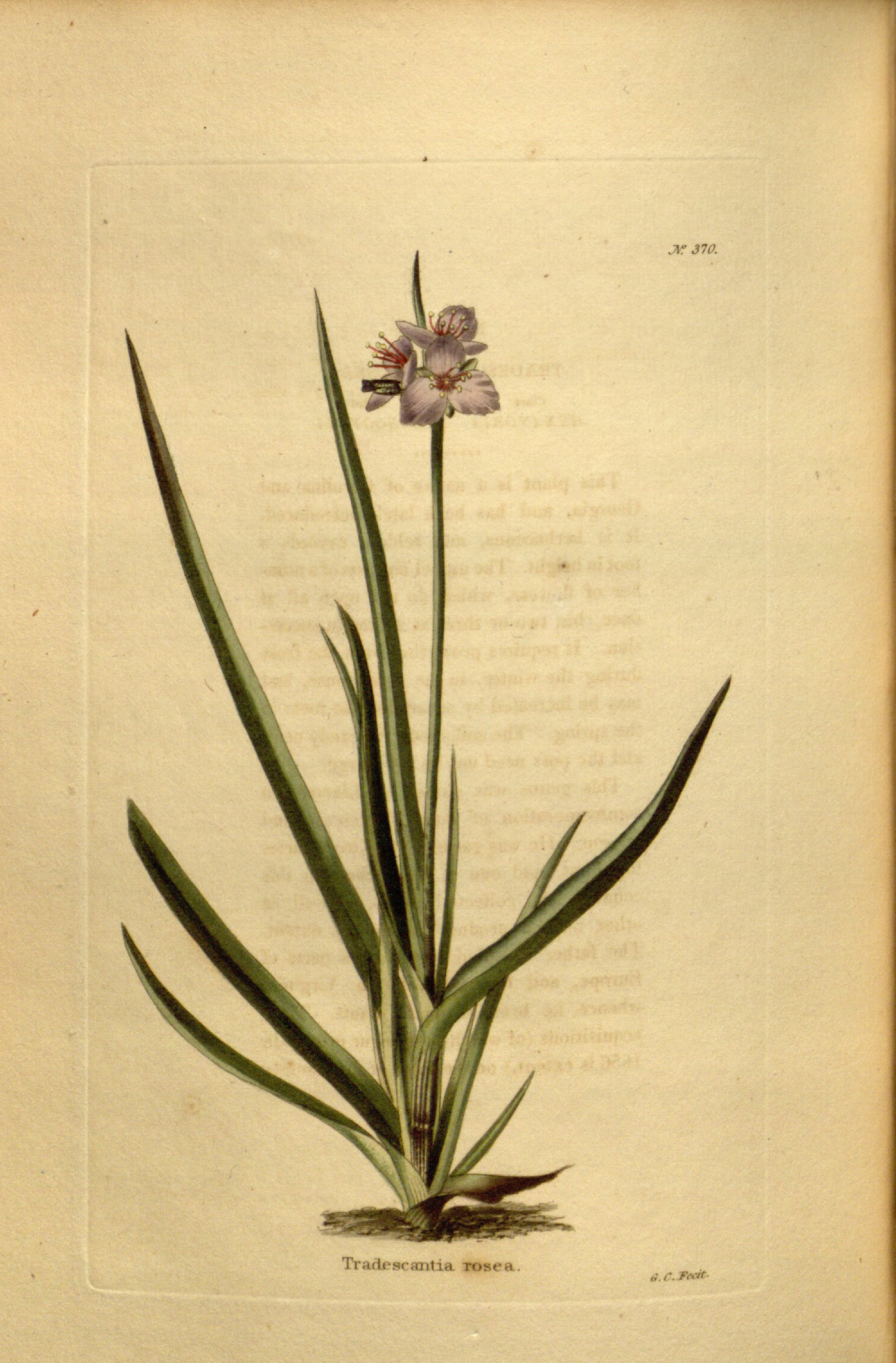 no full size  illustration available (3a)