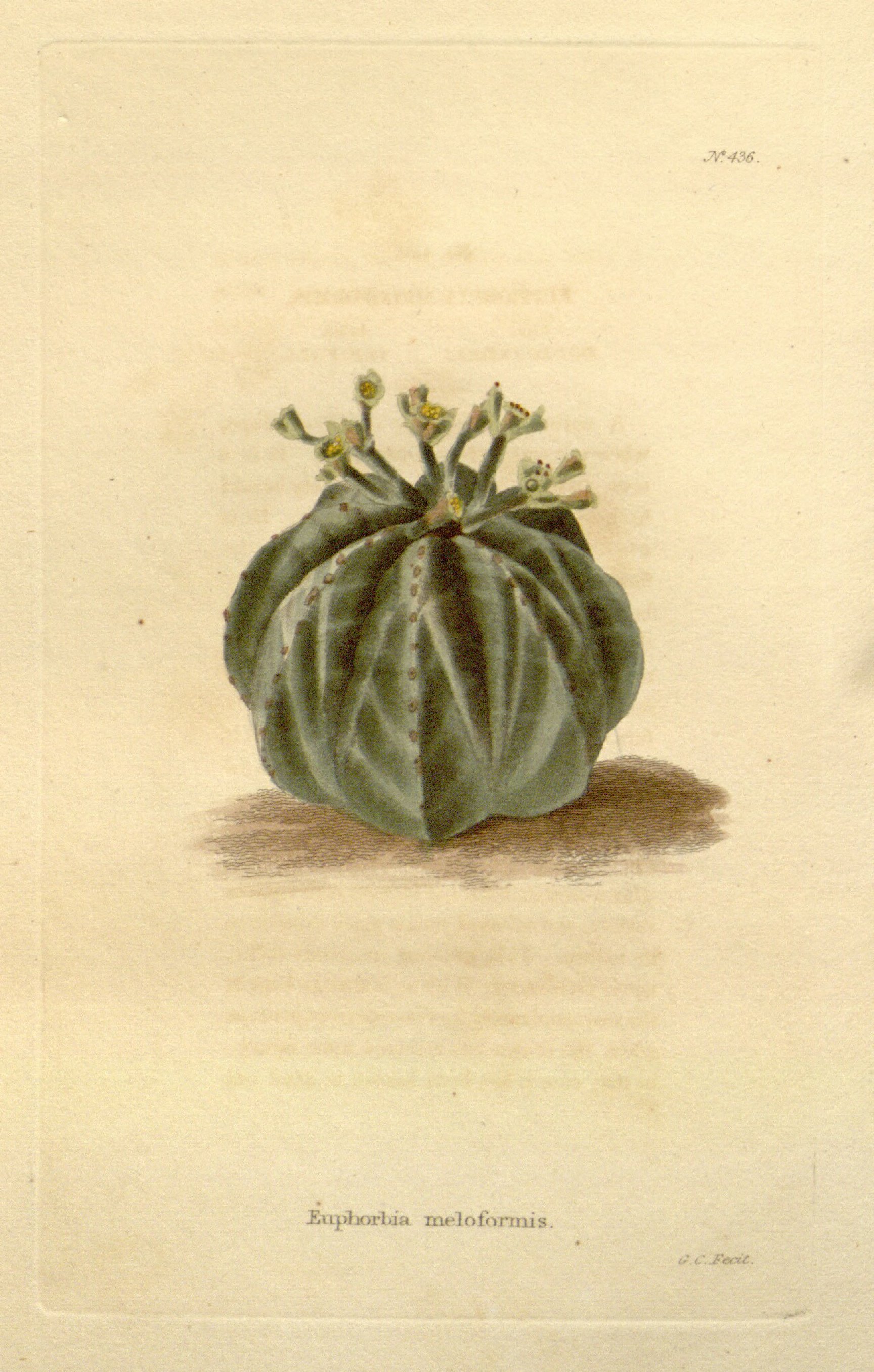 no full size  illustration available (3a)