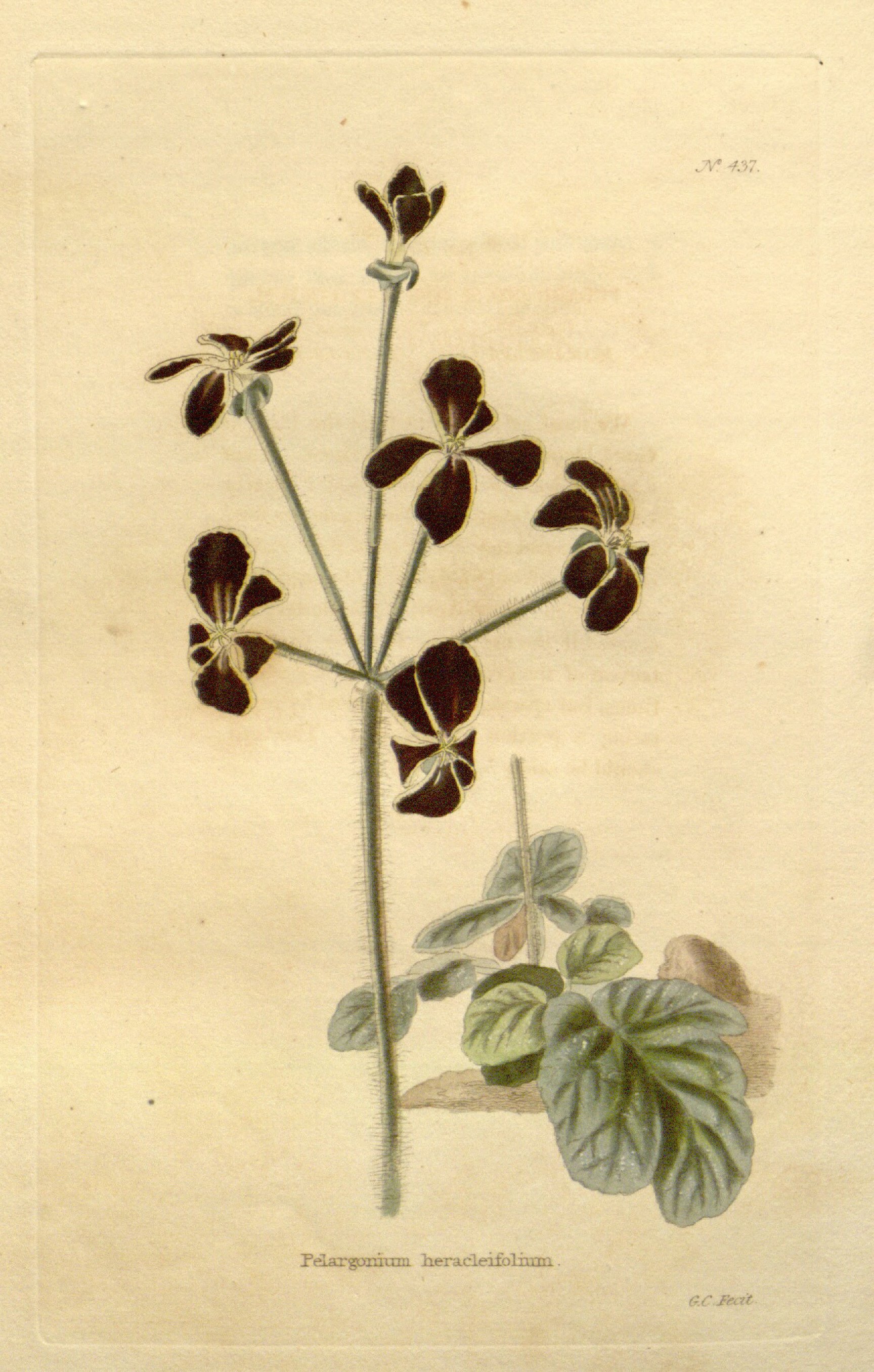 no full size  illustration available (3a)