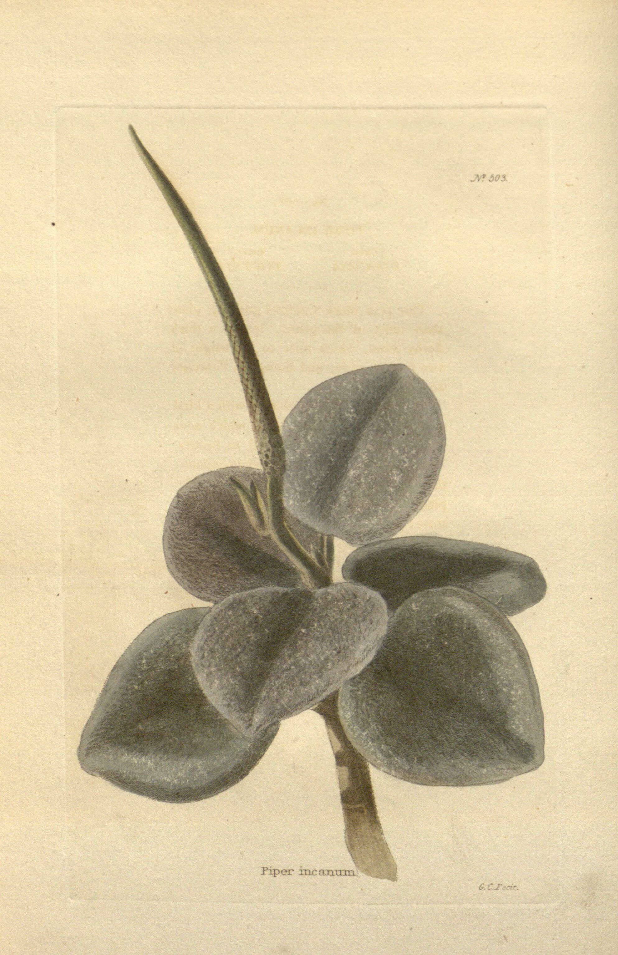 no full size  illustration available (3a)