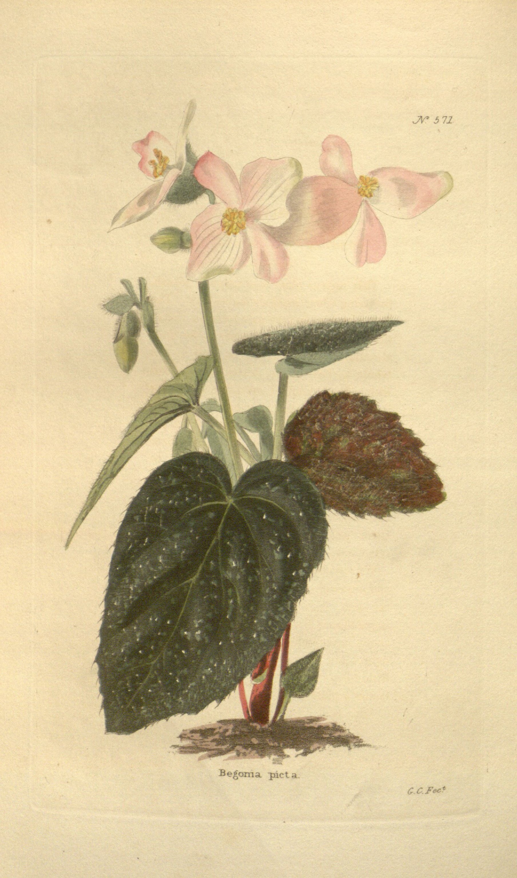 no full size  illustration available (3a)