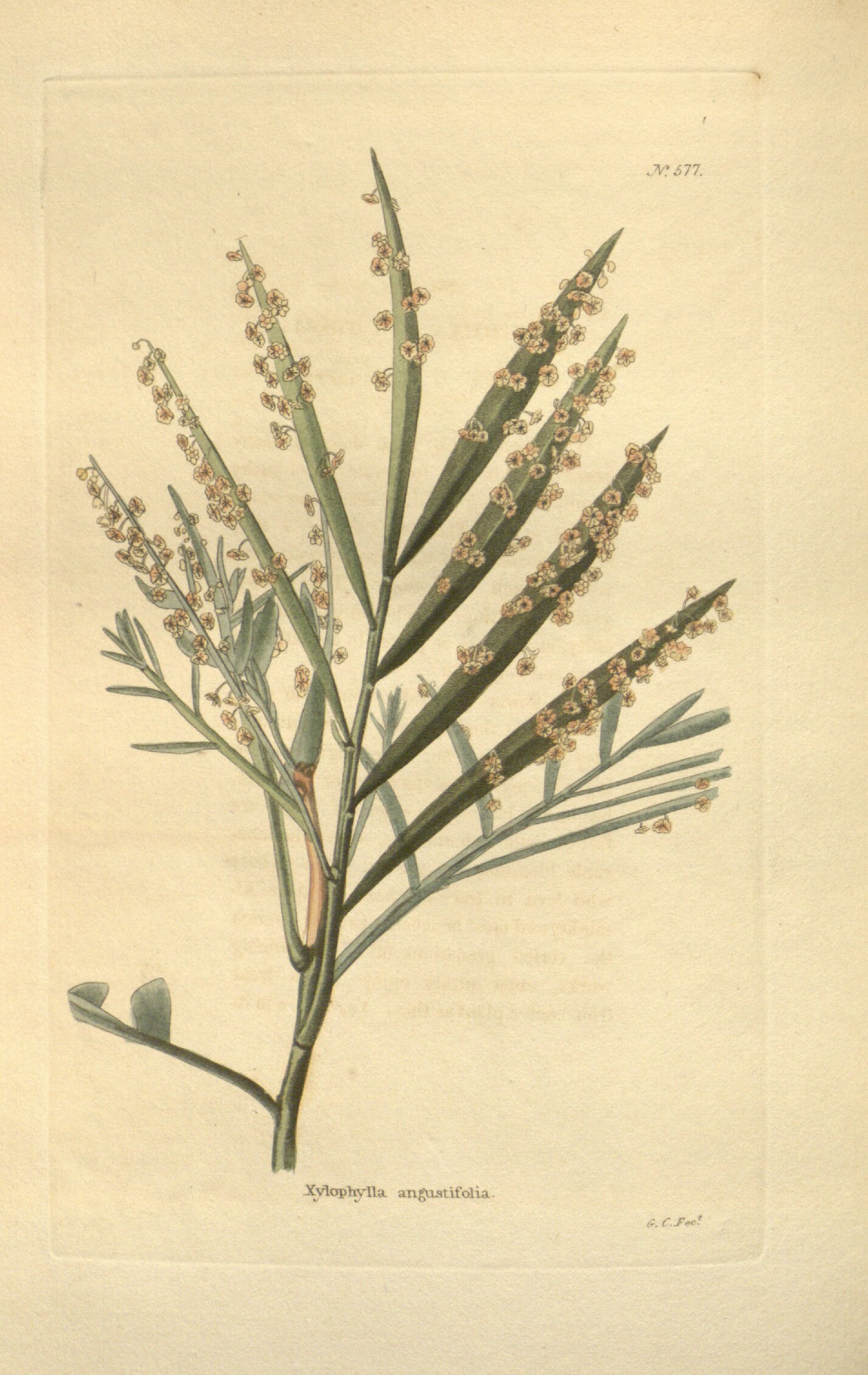 no full size  illustration available (3a)