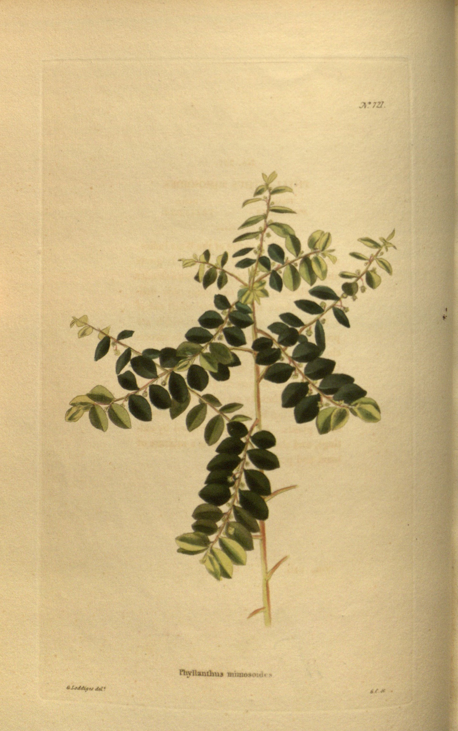 no full size  illustration available (3a)