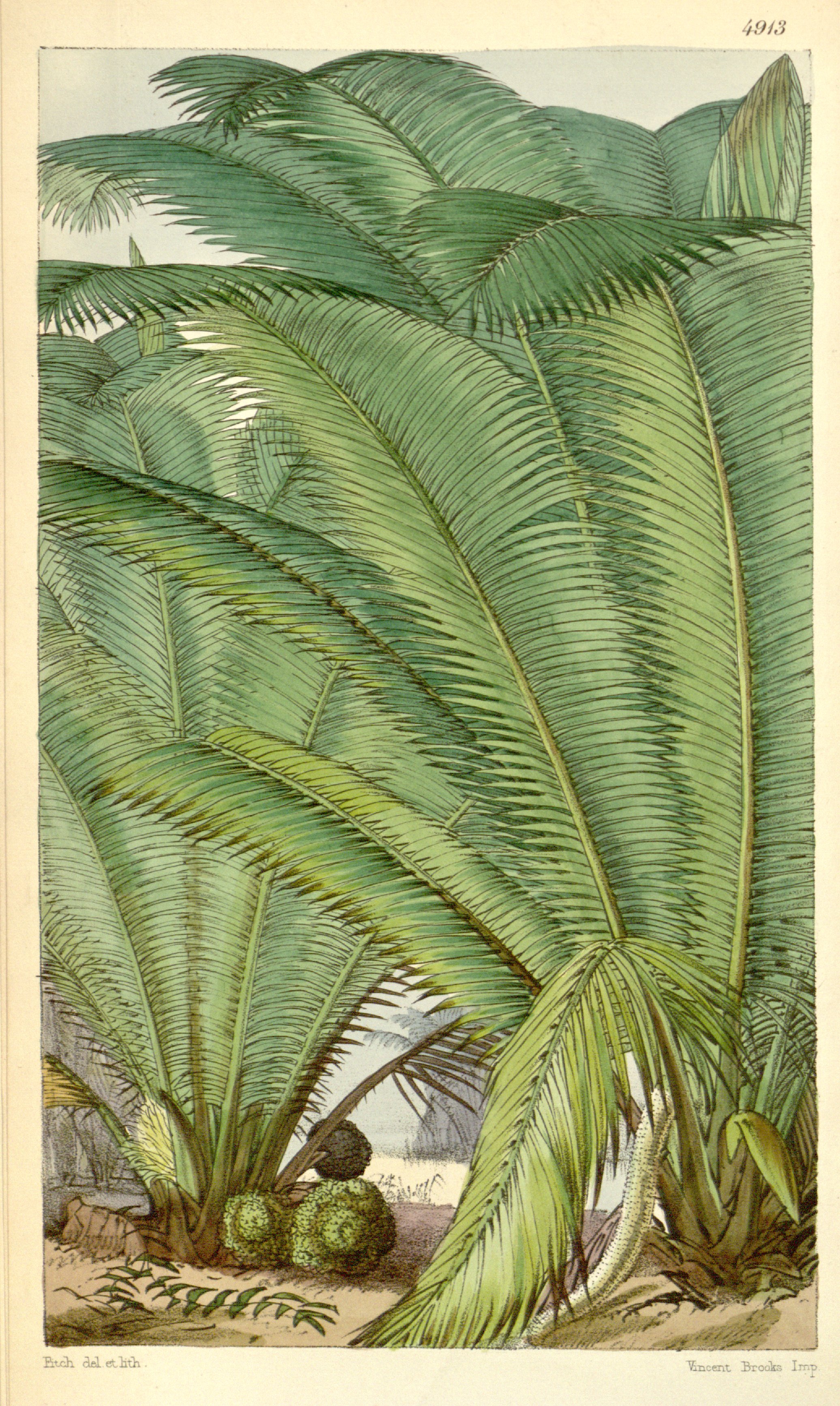 no full size  illustration available (3a)