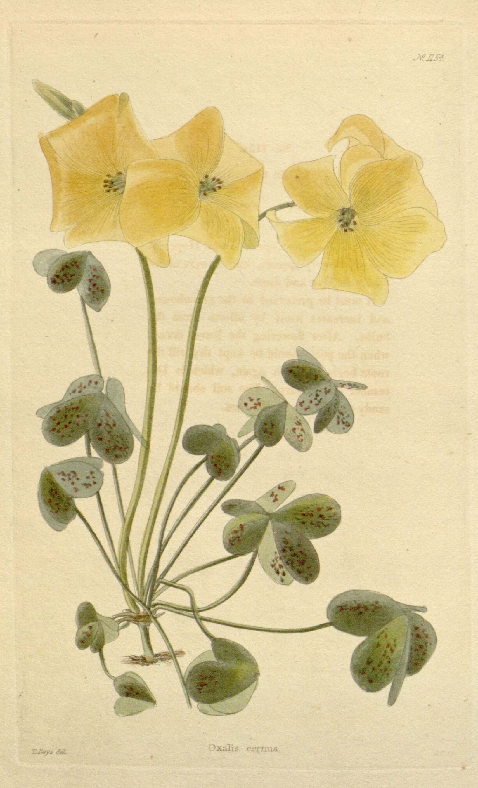 no full size  illustration available (3a)