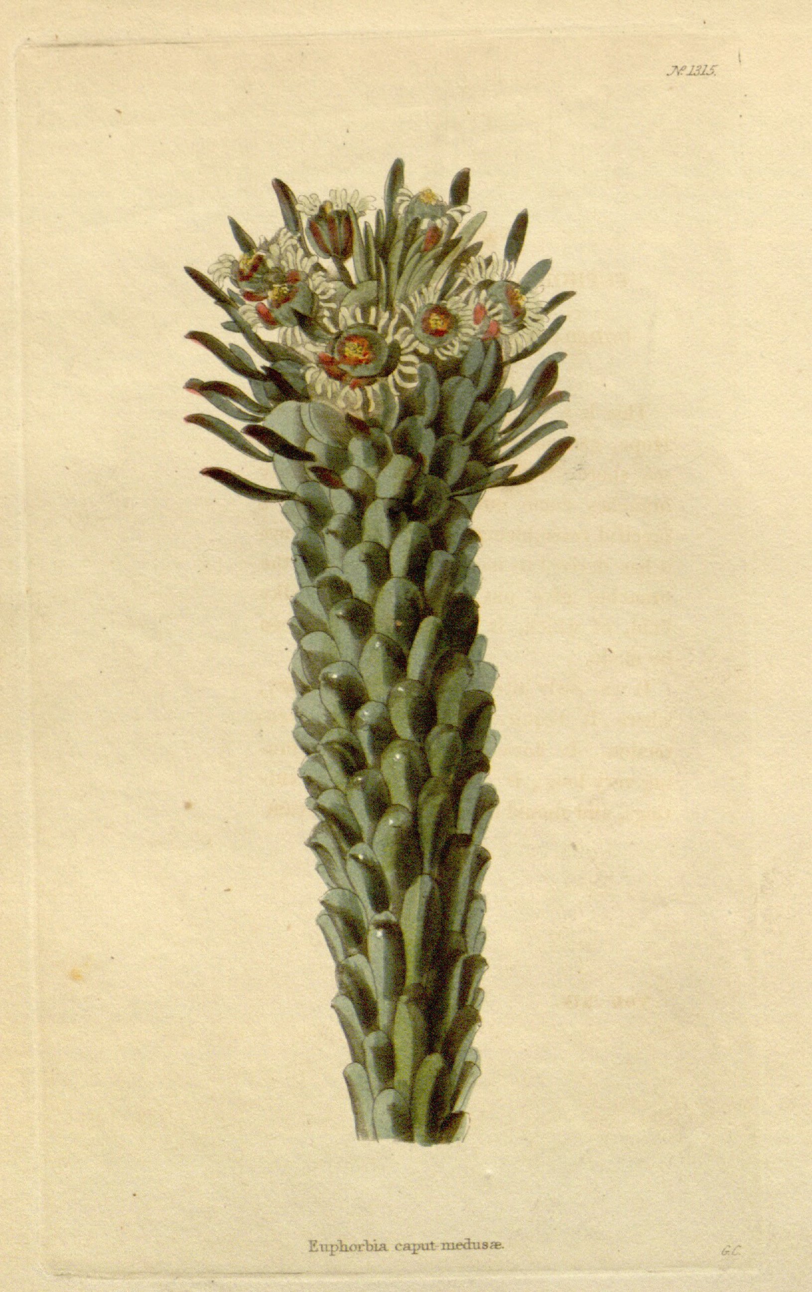 no full size  illustration available (3a)