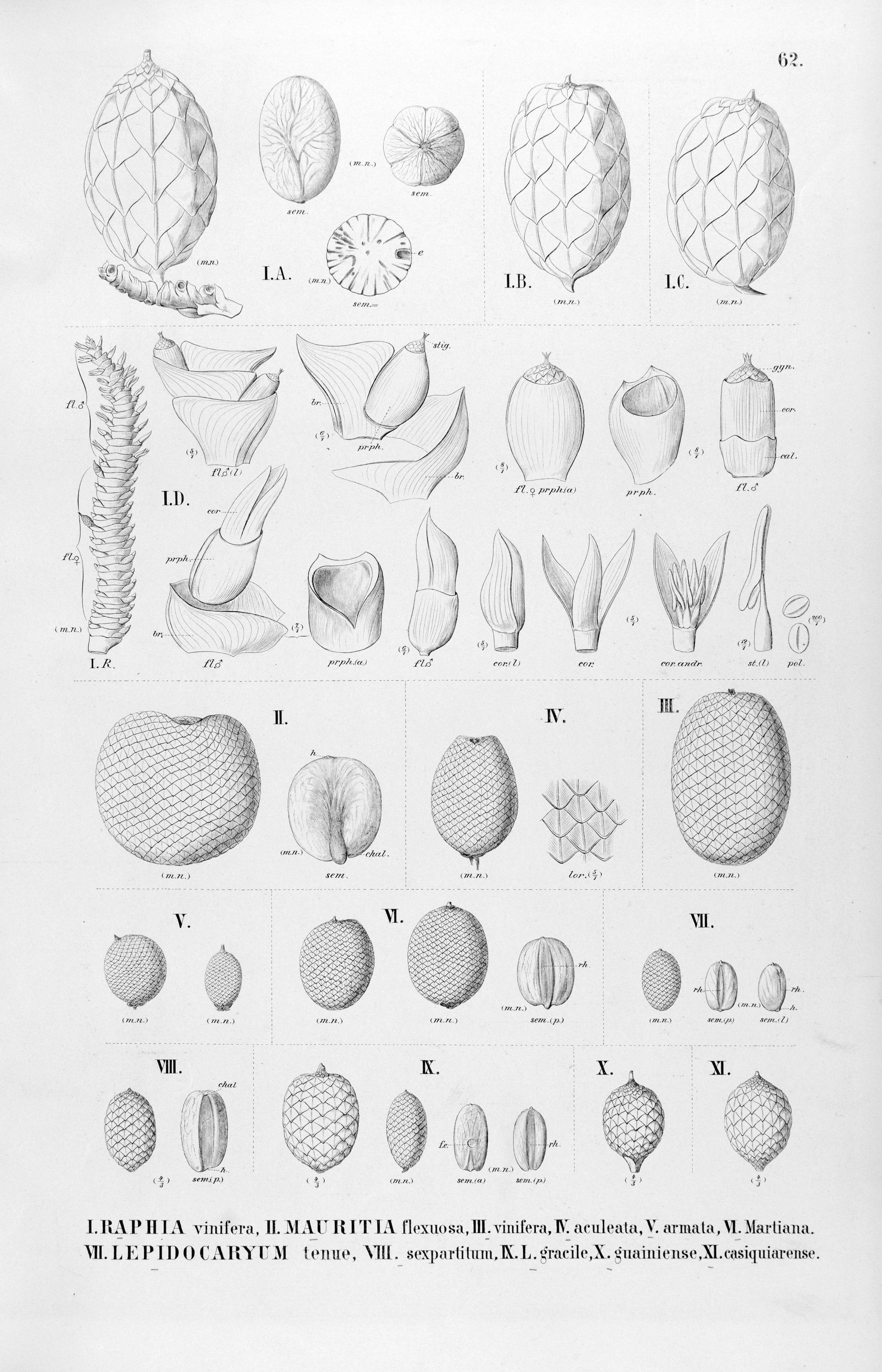 no full size  illustration available (3a)