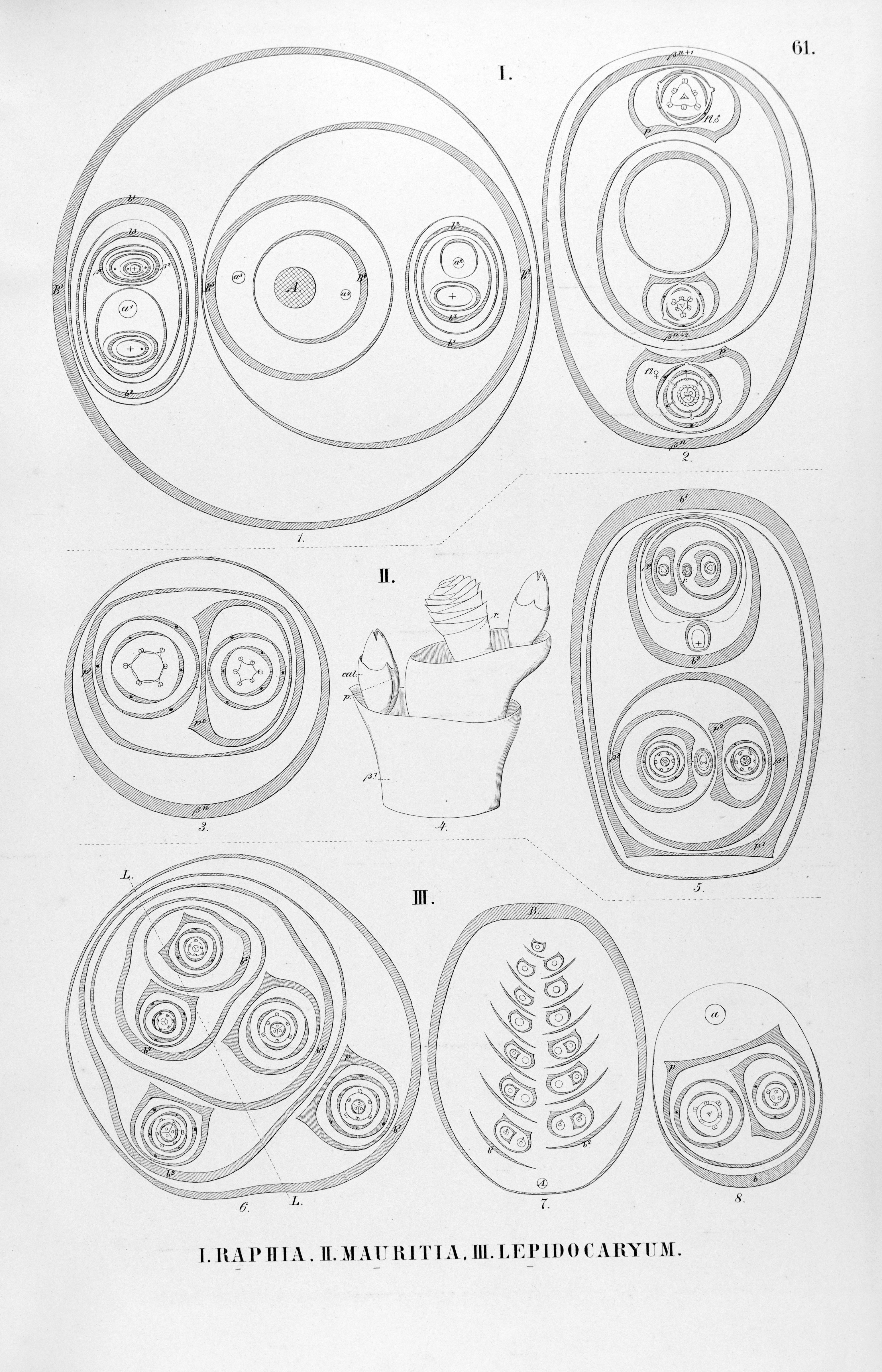 no full size  illustration available (3a)