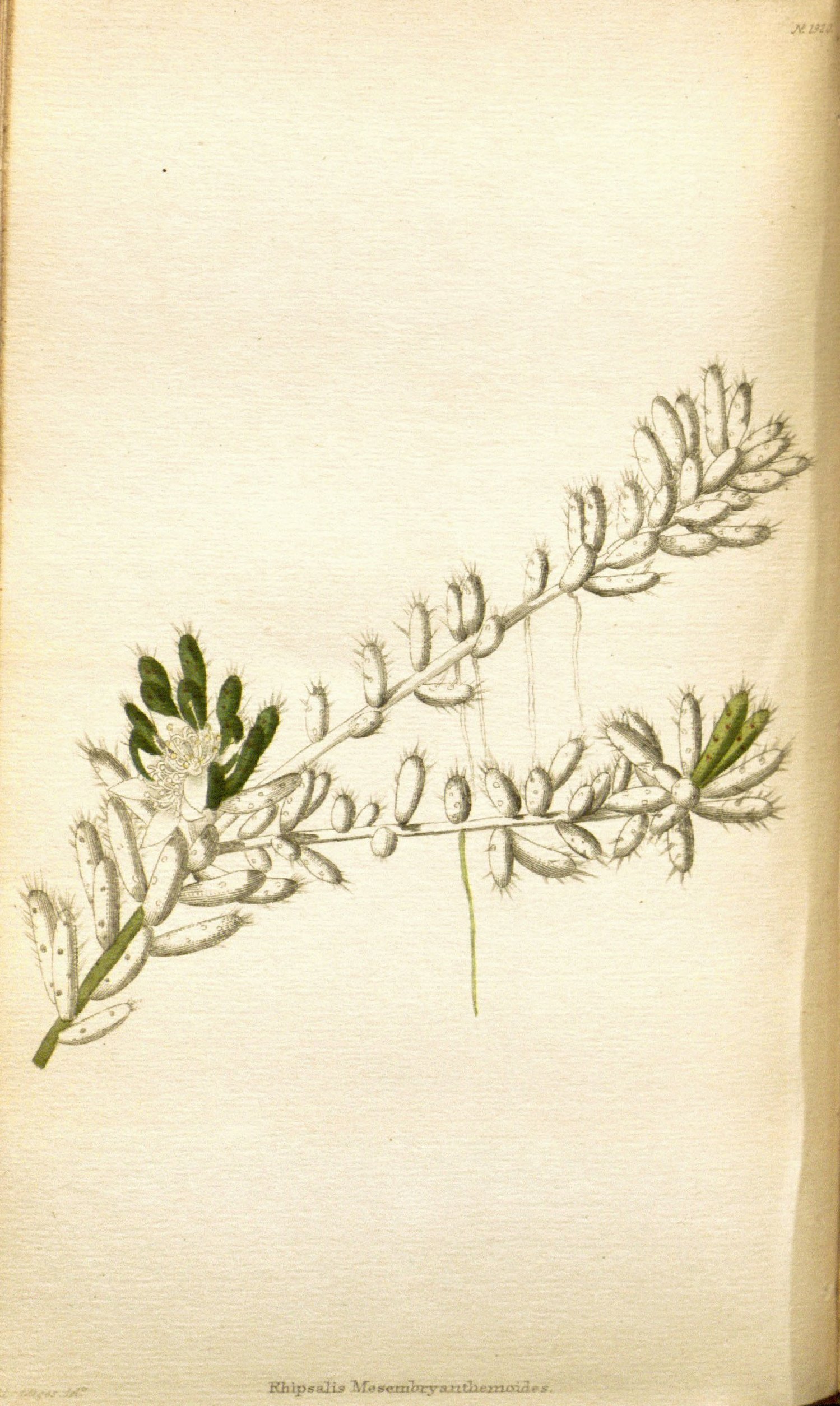 no full size  illustration available (3a)