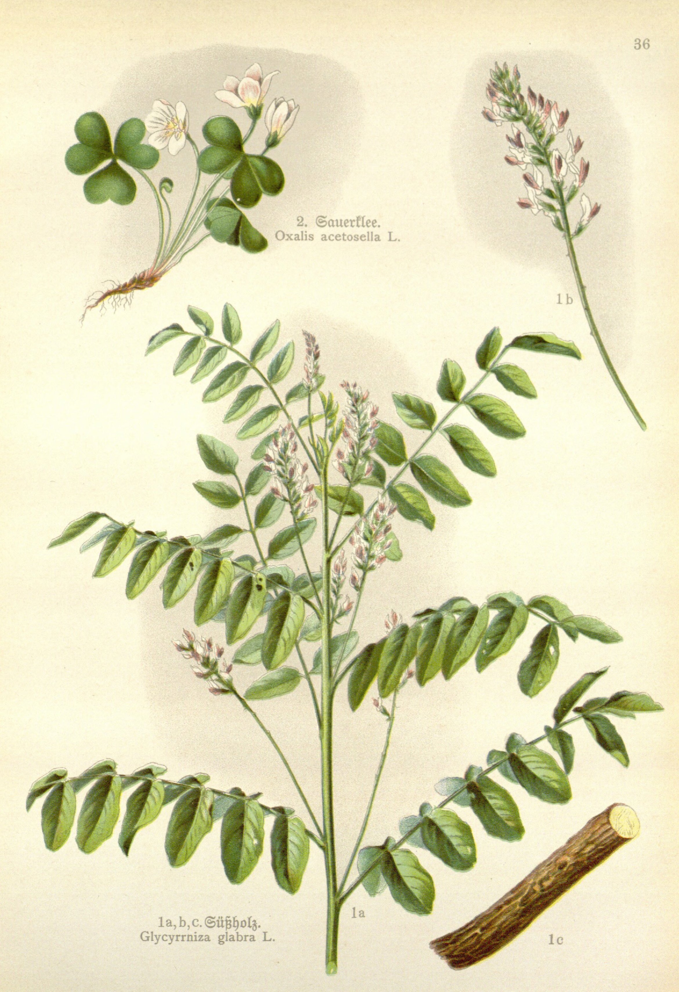 no full size  illustration available (3a)