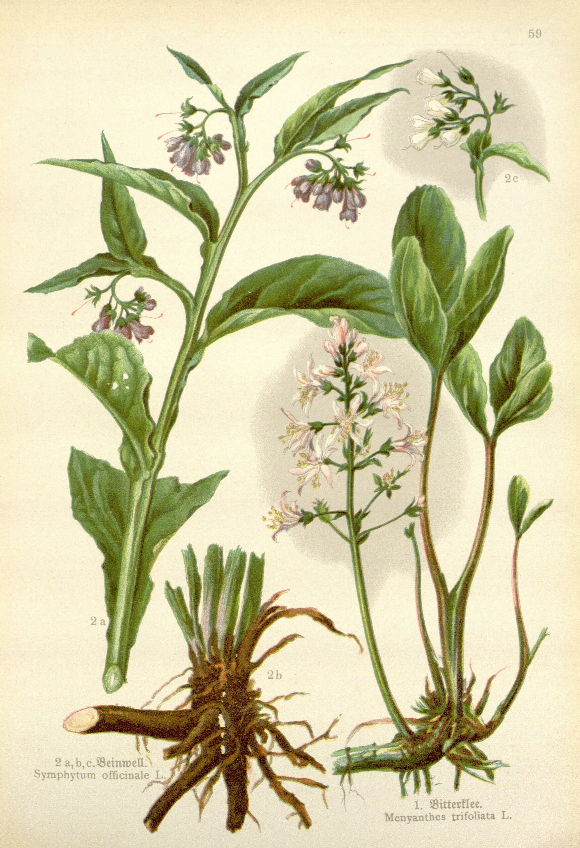 no full size  illustration available (3a)