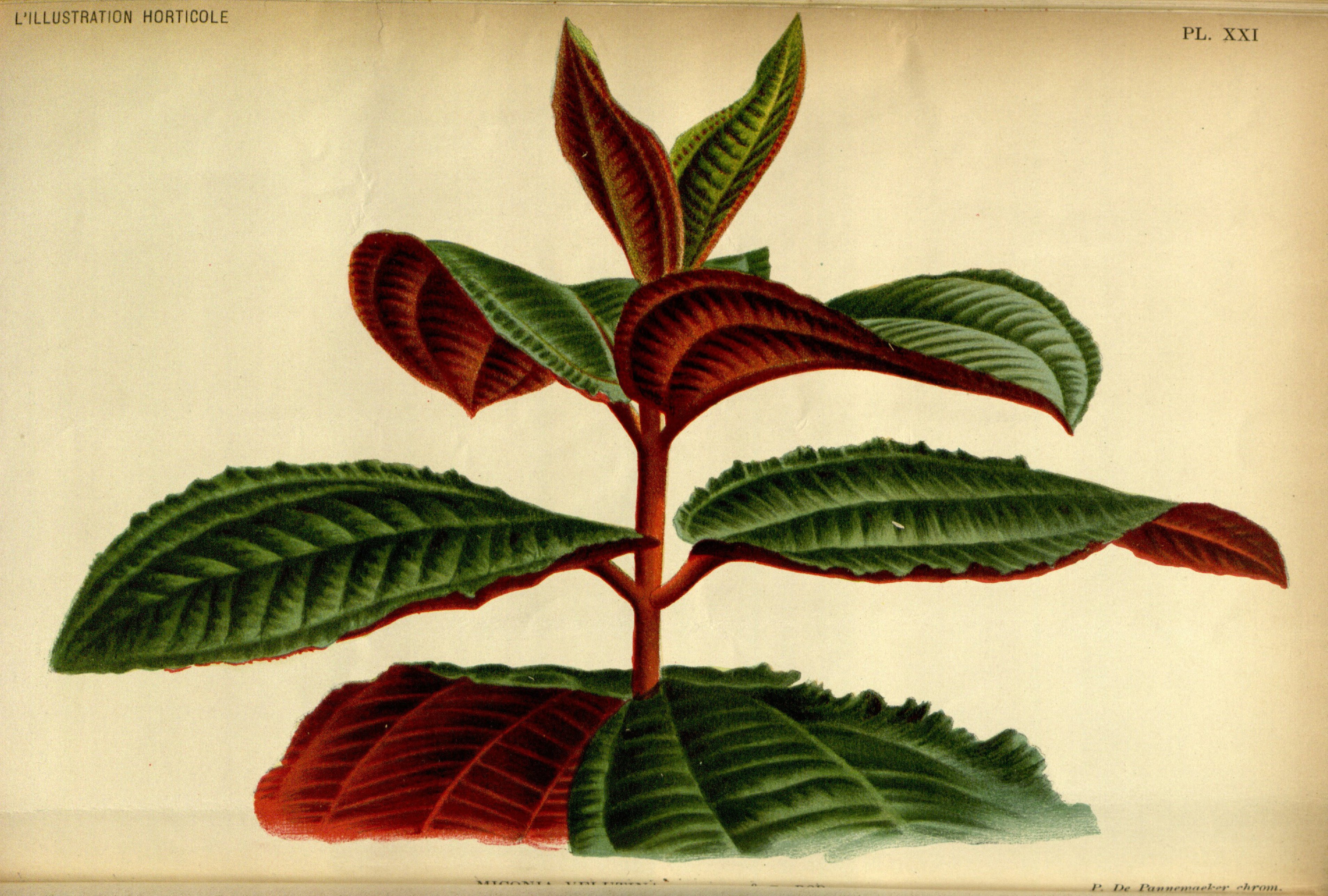 no full size  illustration available (3a)