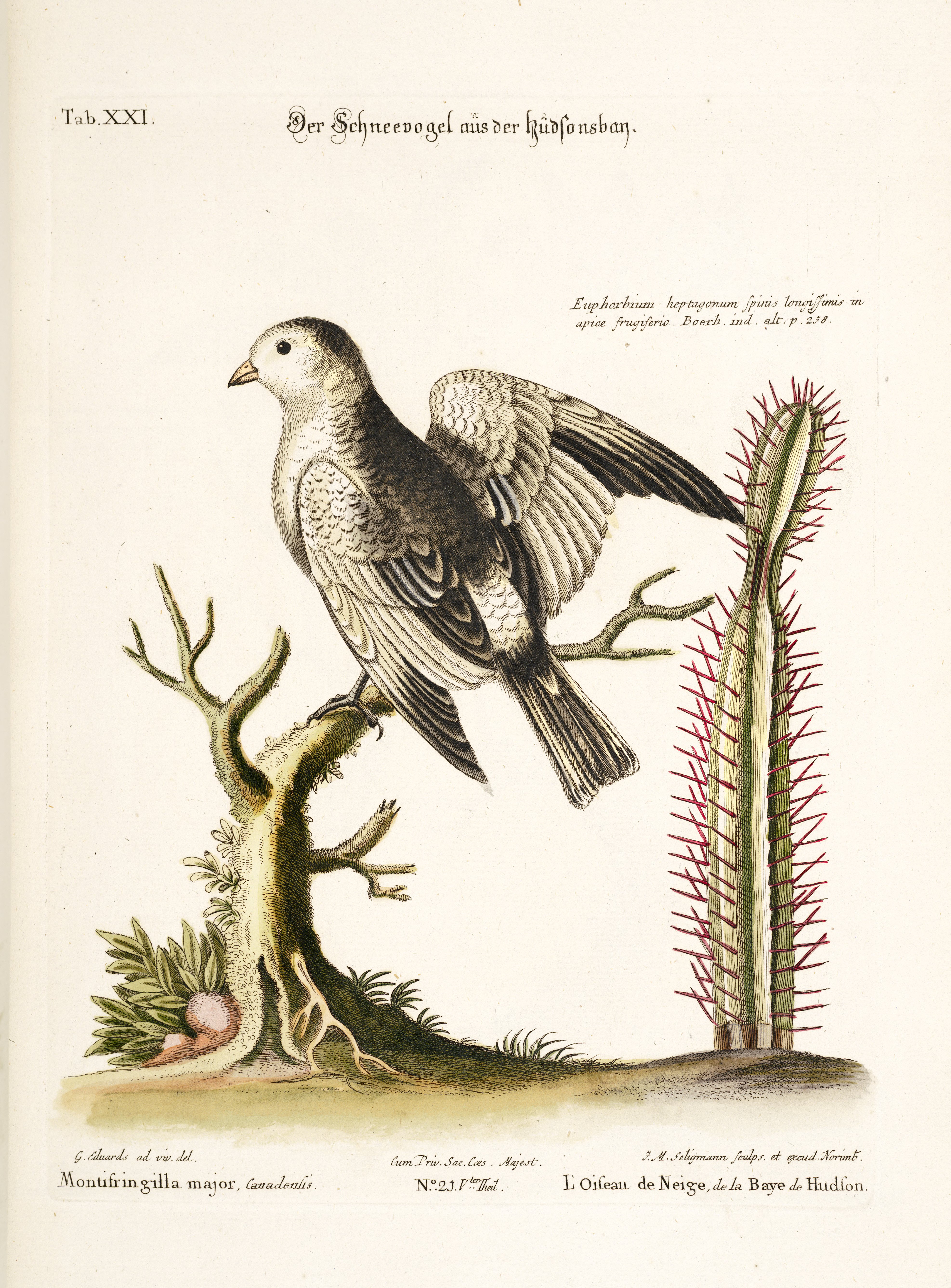 no full size  illustration available (3a)