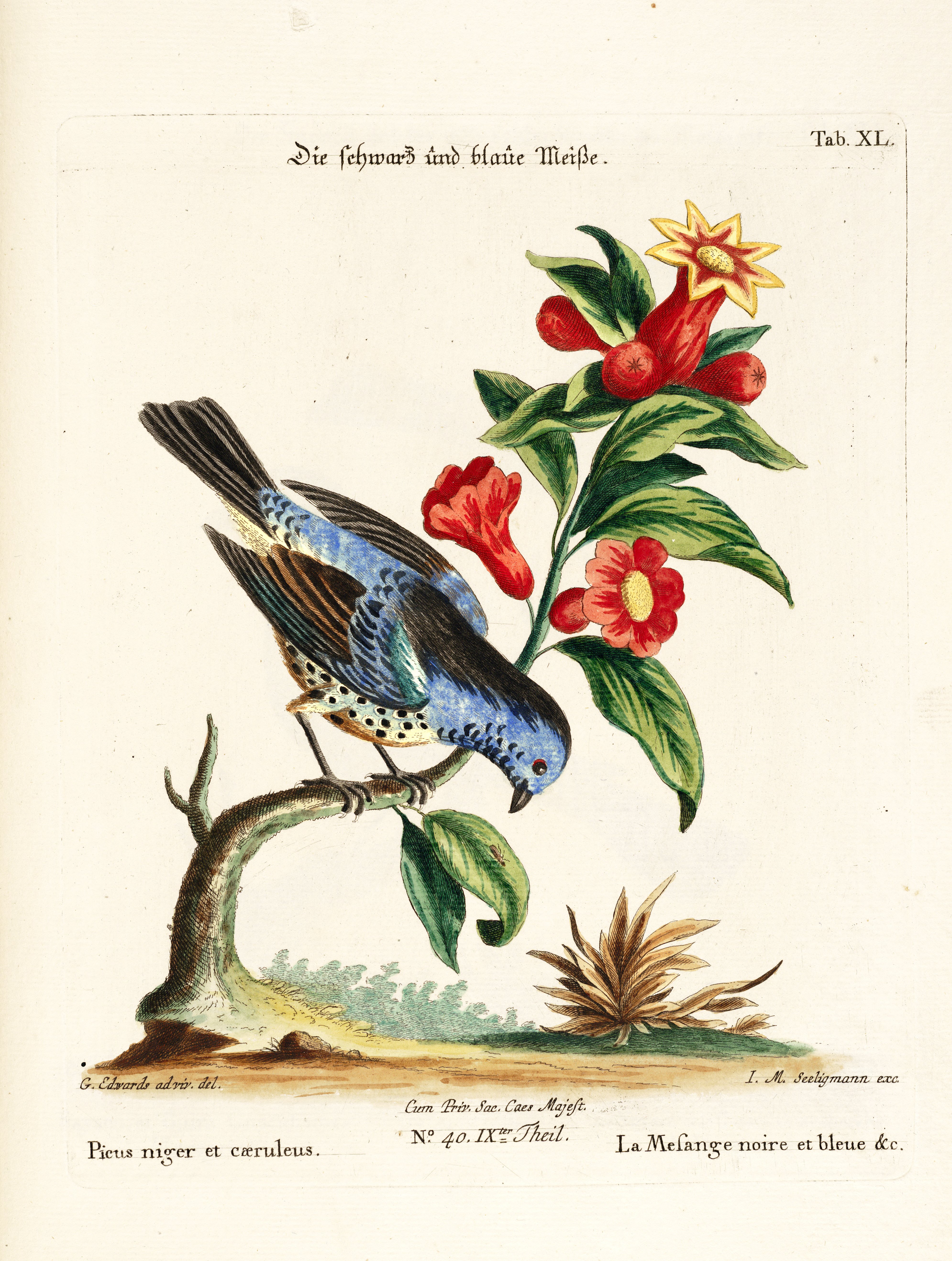 no full size  illustration available (3a)