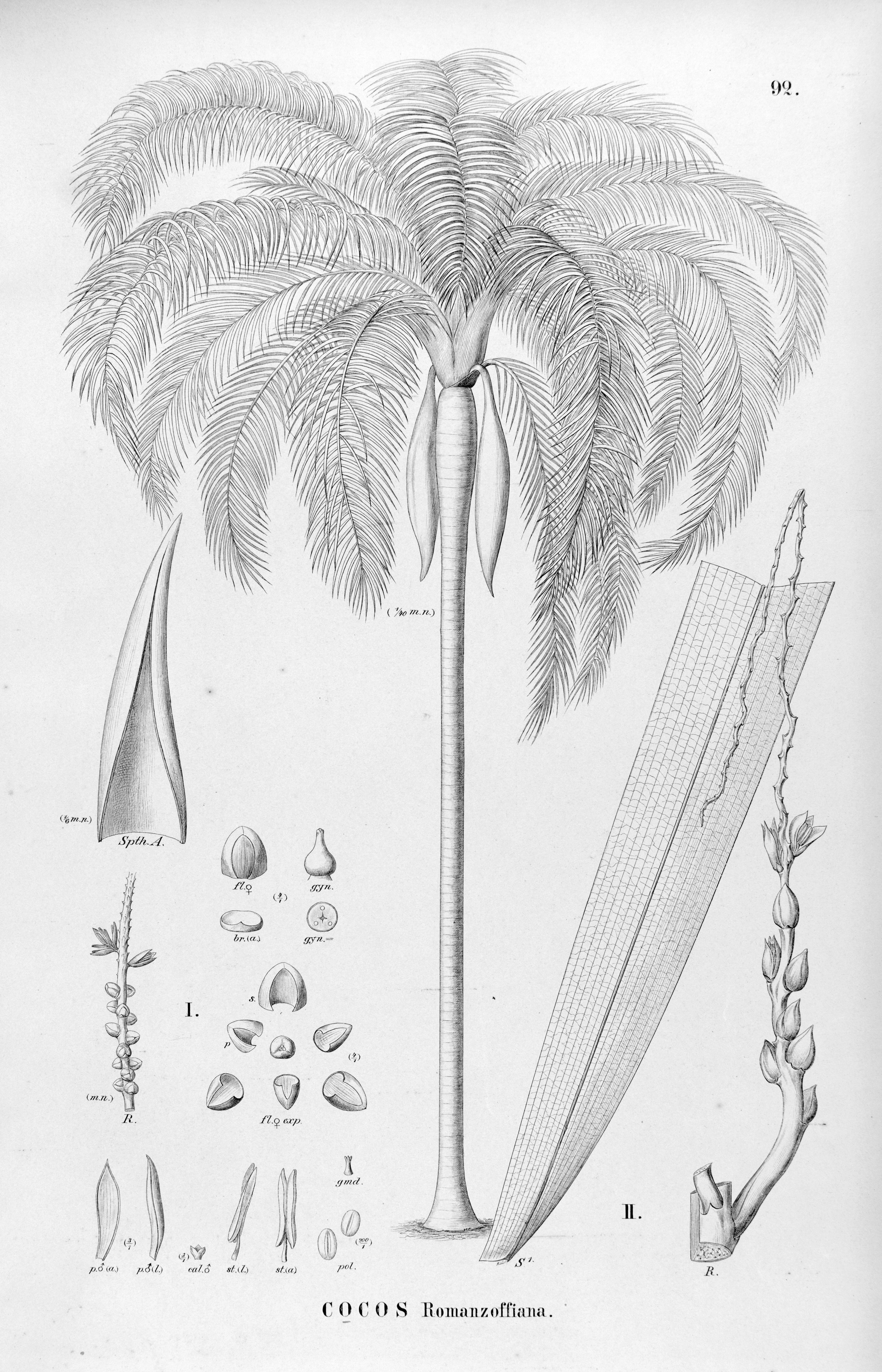 no full size  illustration available (3a)