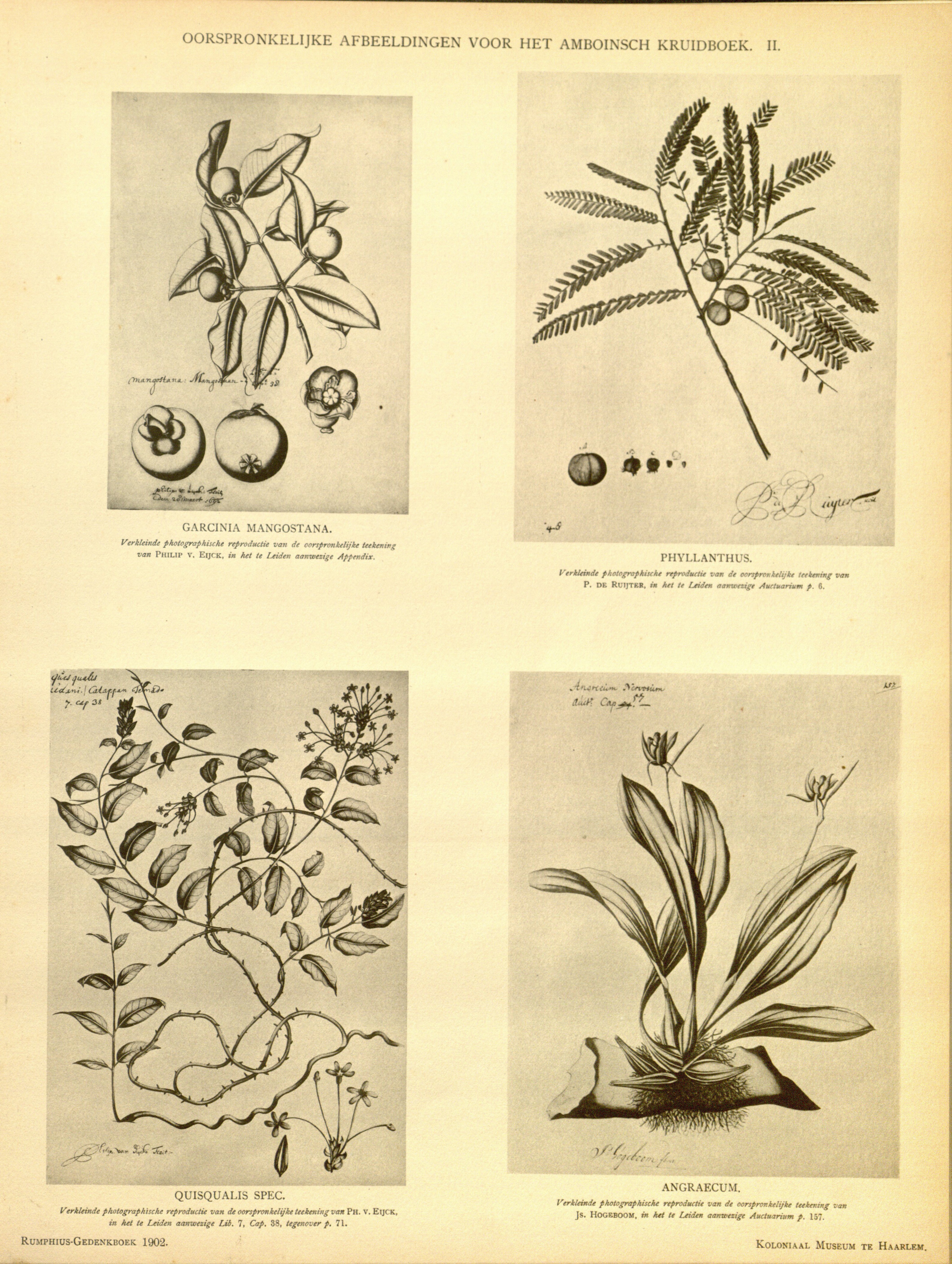 no full size  illustration available (3a)