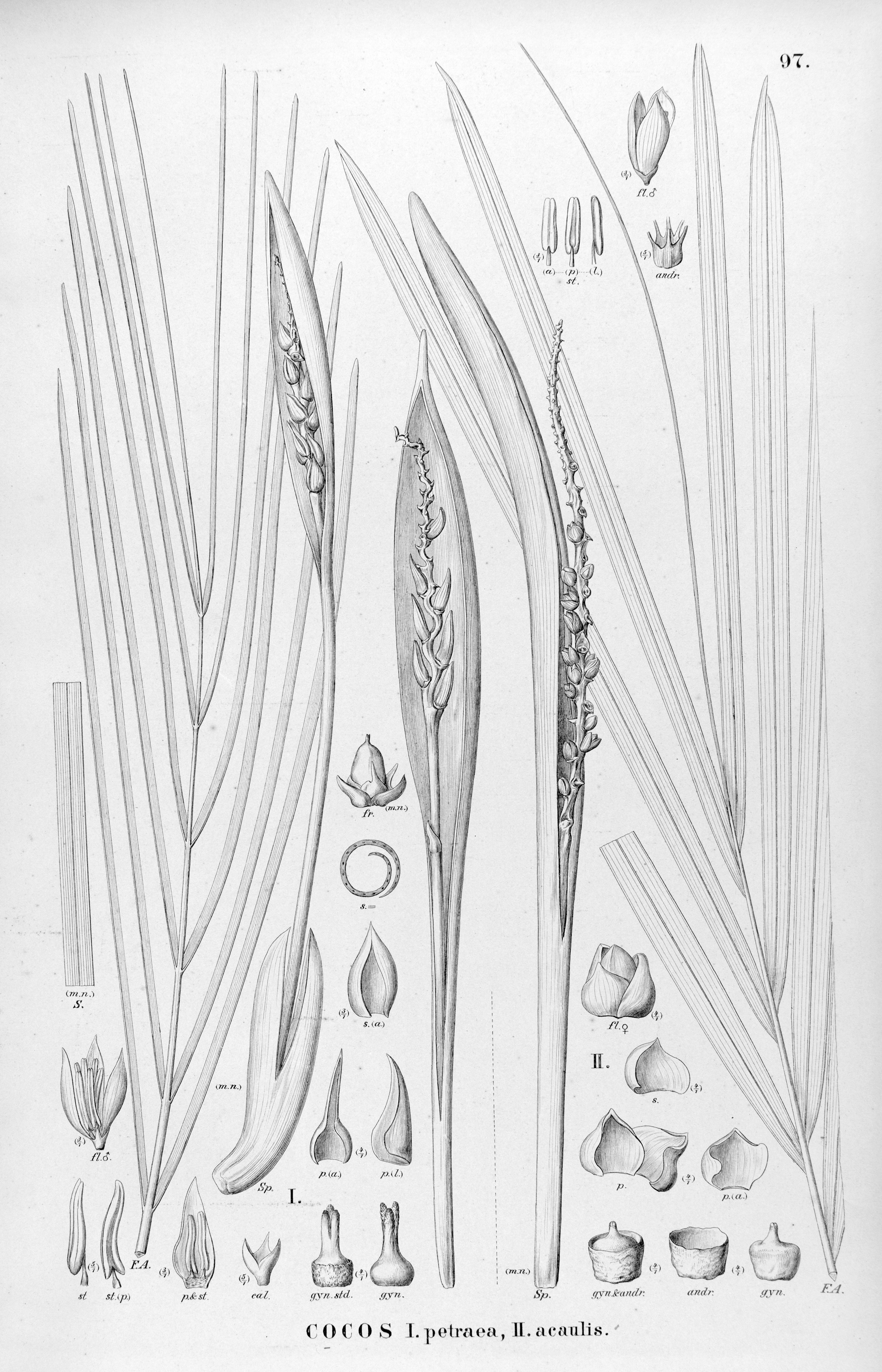 no full size  illustration available (3a)