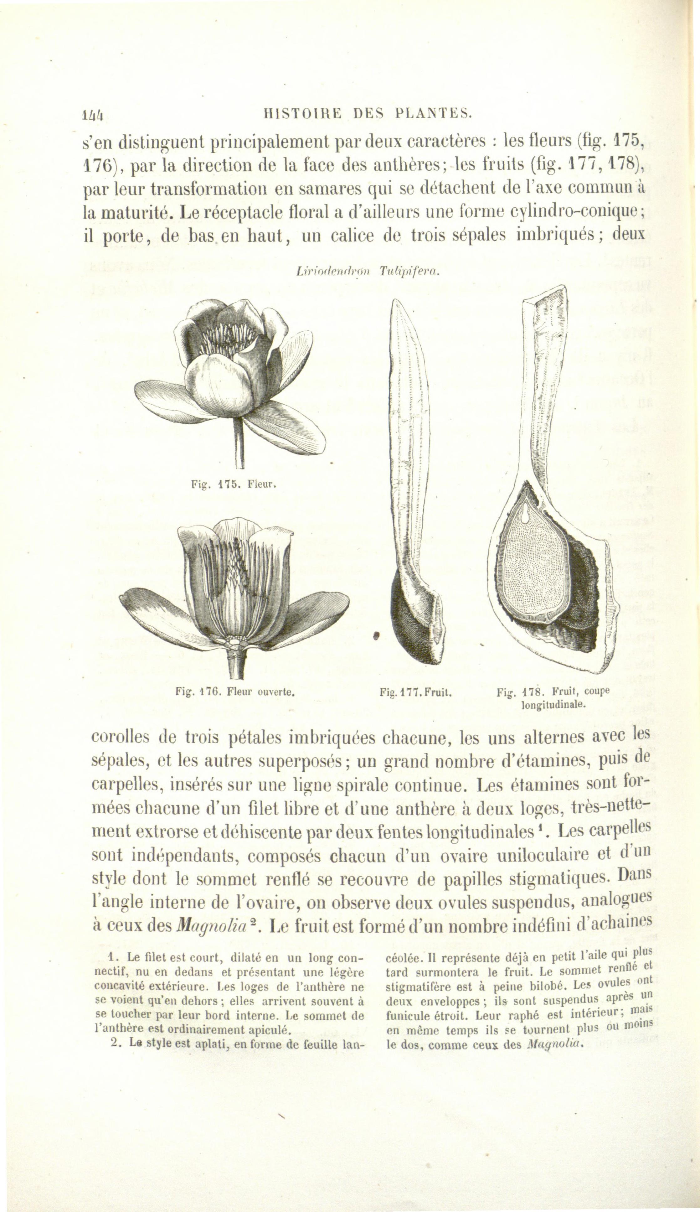 no full size  illustration available (3a)